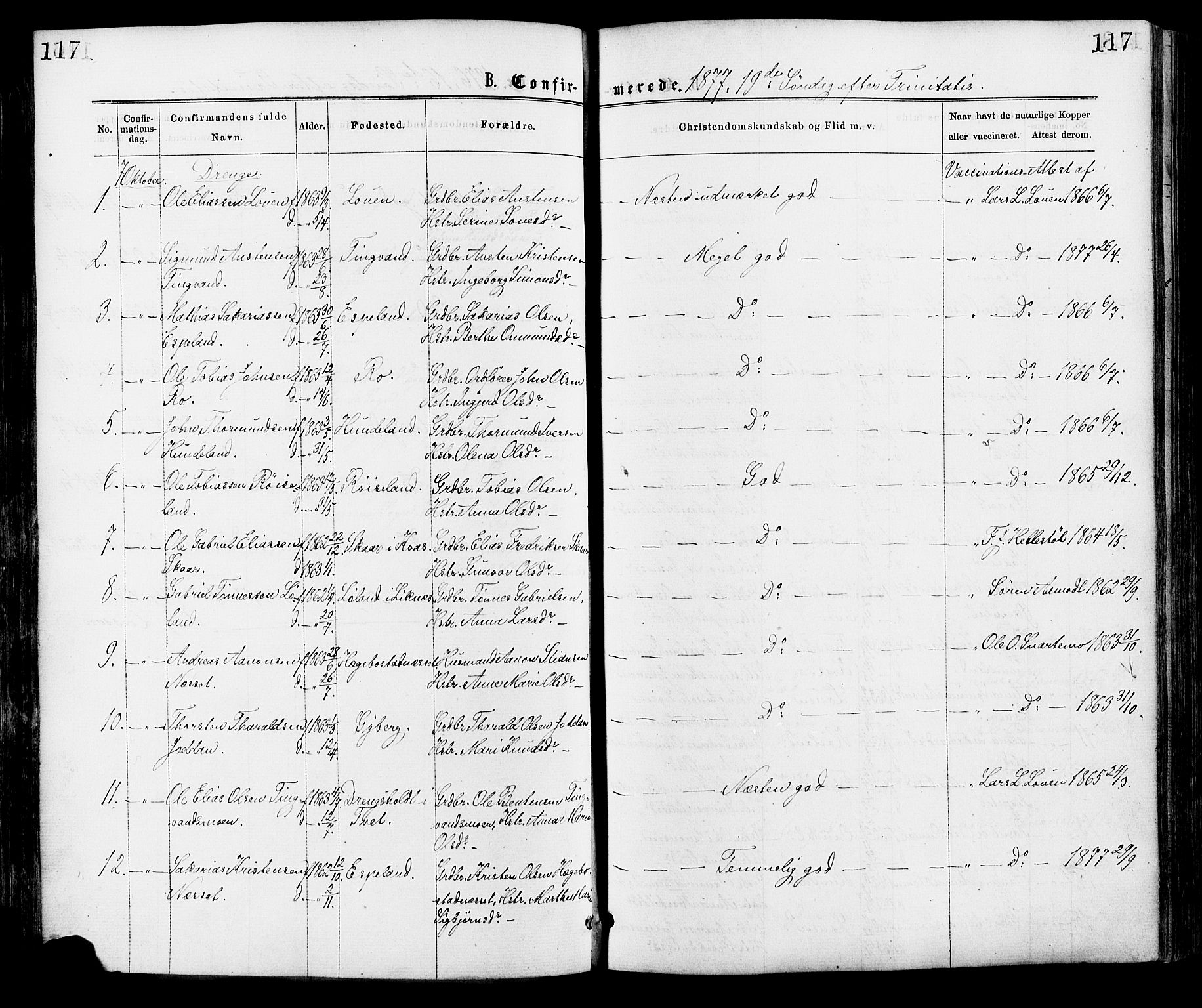 Hægebostad sokneprestkontor, AV/SAK-1111-0024/F/Fa/Faa/L0005: Parish register (official) no. A 5, 1864-1886, p. 117