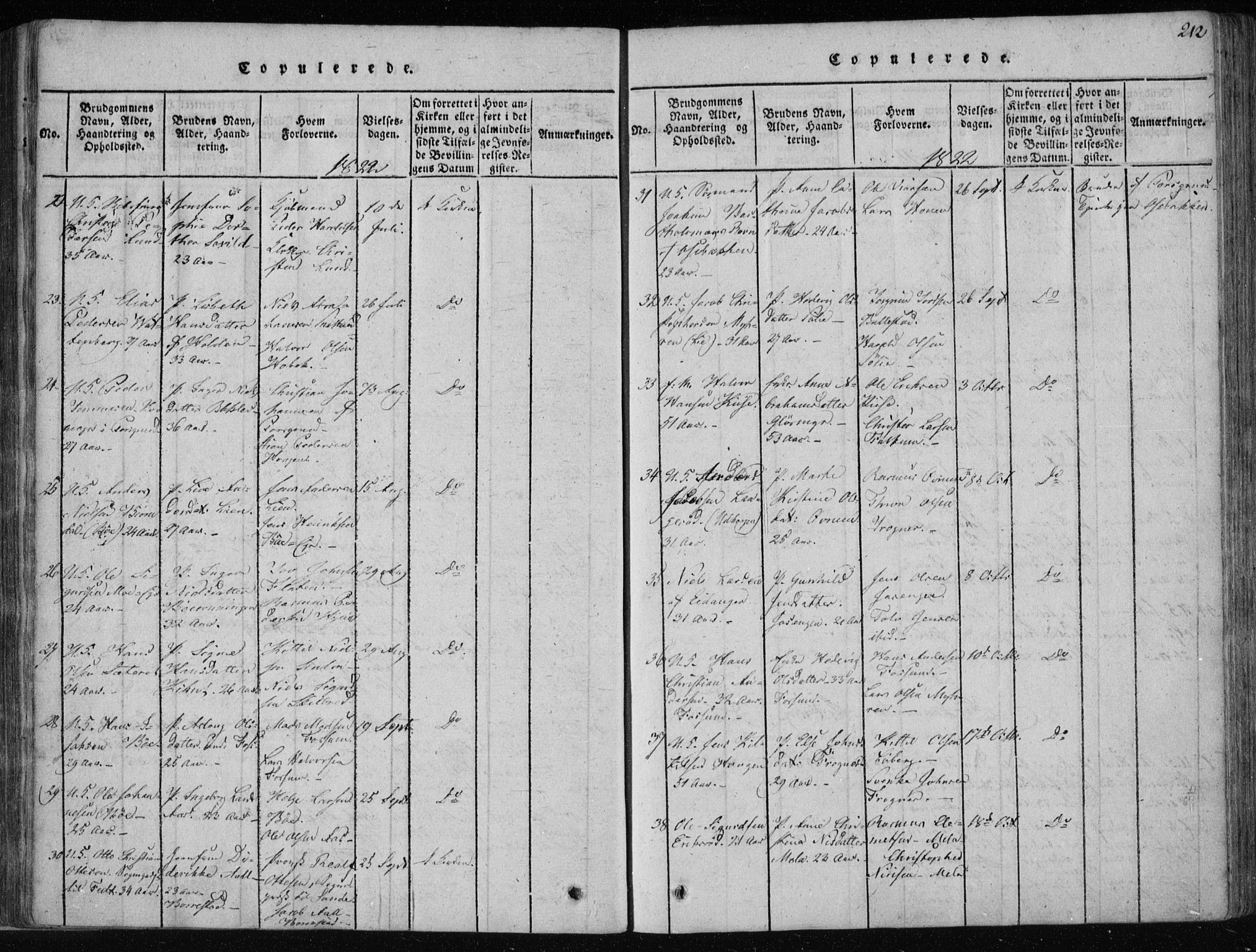 Gjerpen kirkebøker, SAKO/A-265/F/Fa/L0004: Parish register (official) no. I 4, 1814-1823, p. 212