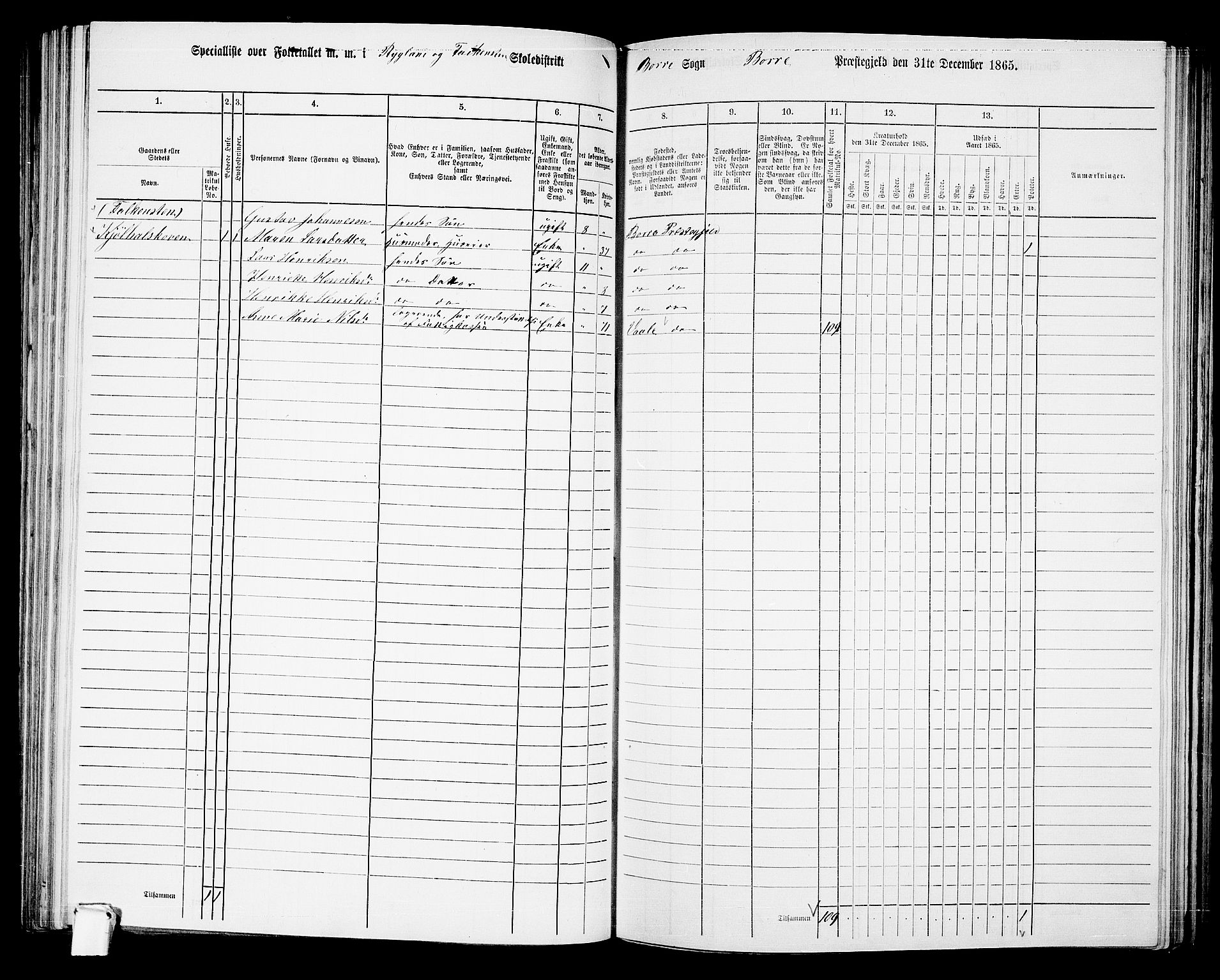 RA, 1865 census for Borre, 1865, p. 124