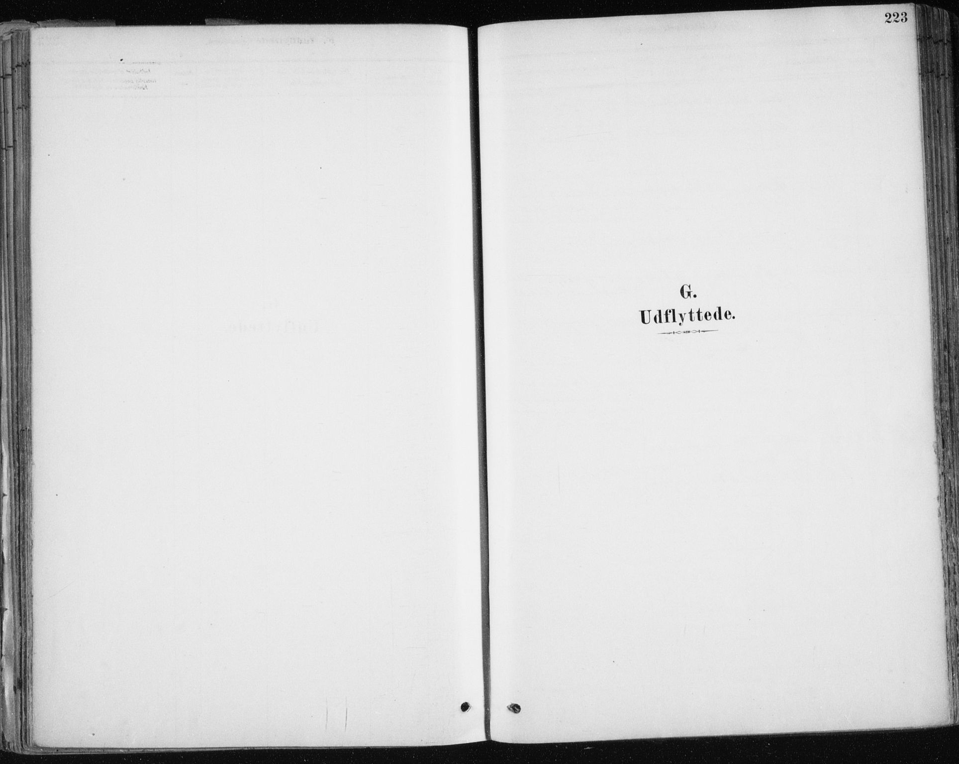 Hammerfest sokneprestkontor, AV/SATØ-S-1347/H/Ha/L0008.kirke: Parish register (official) no. 8, 1878-1889, p. 223