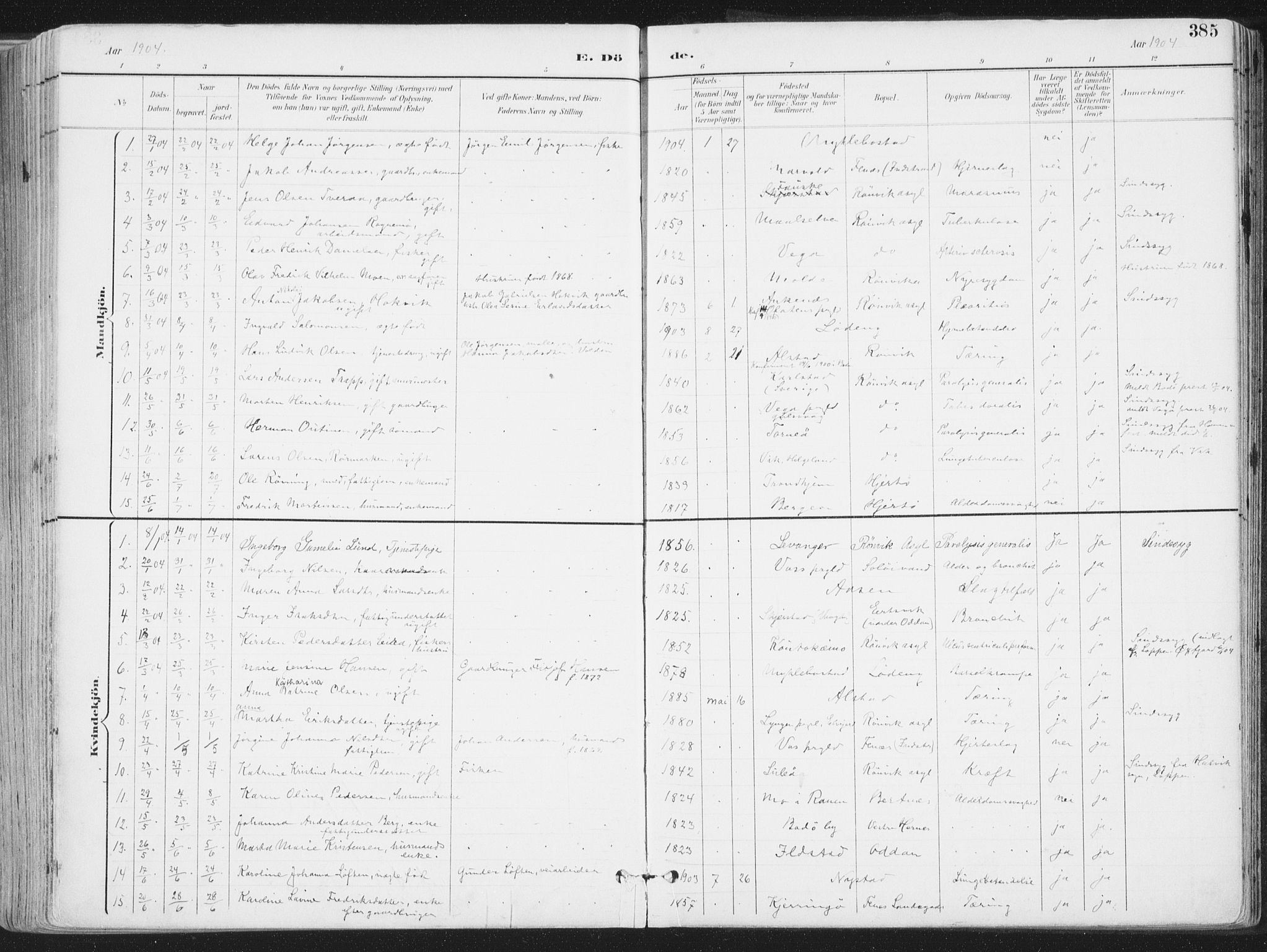 Ministerialprotokoller, klokkerbøker og fødselsregistre - Nordland, SAT/A-1459/802/L0055: Parish register (official) no. 802A02, 1894-1915, p. 385