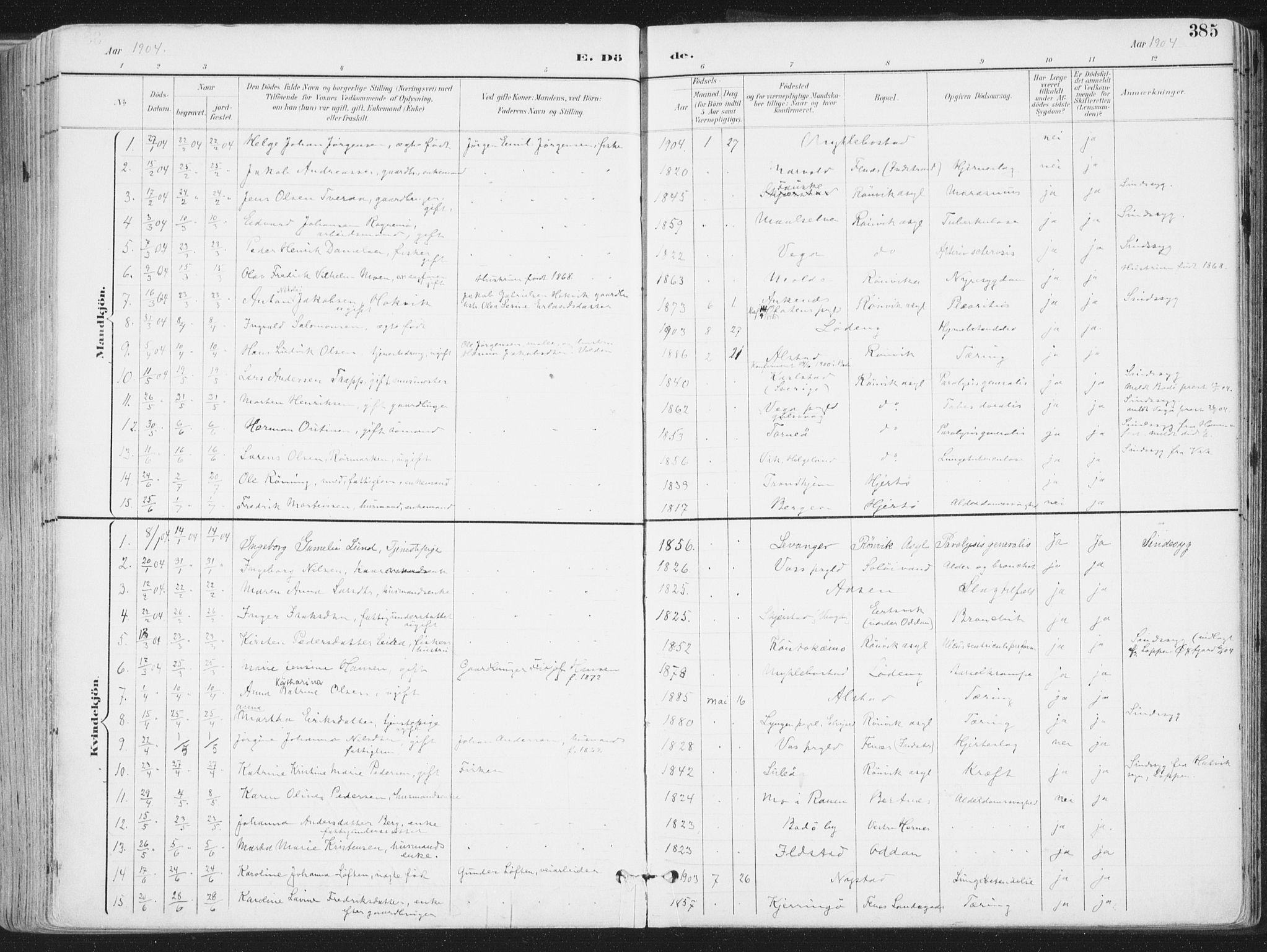 Ministerialprotokoller, klokkerbøker og fødselsregistre - Nordland, AV/SAT-A-1459/802/L0055: Parish register (official) no. 802A02, 1894-1915, p. 385