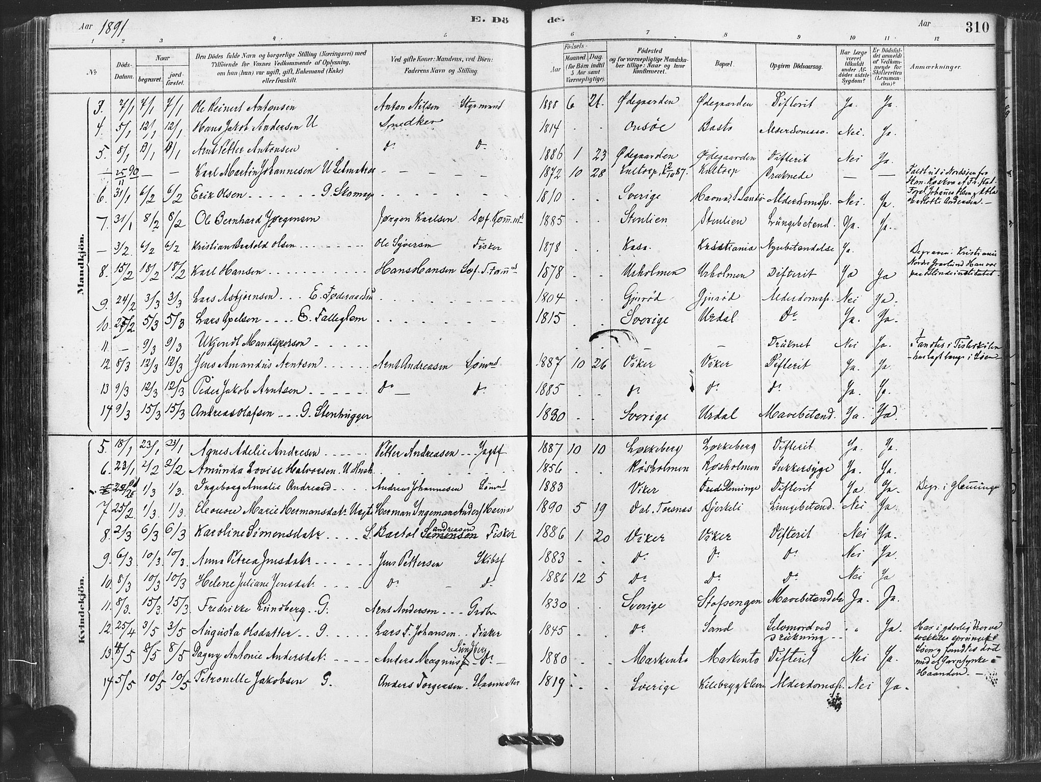 Hvaler prestekontor Kirkebøker, AV/SAO-A-2001/F/Fa/L0008: Parish register (official) no. I 8, 1878-1895, p. 310