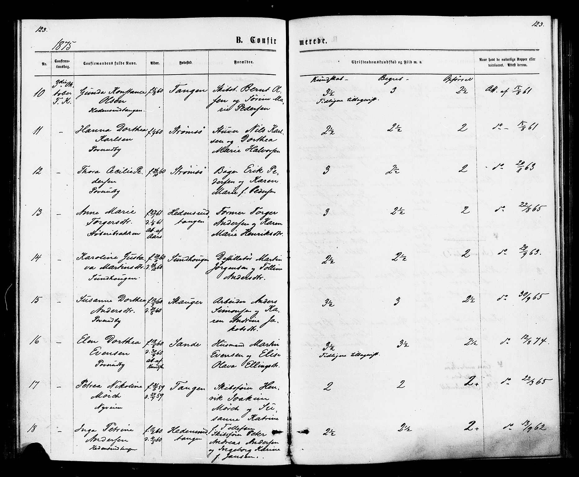 Strømsø kirkebøker, SAKO/A-246/F/Fa/L0020: Parish register (official) no. I 20, 1870-1878, p. 123