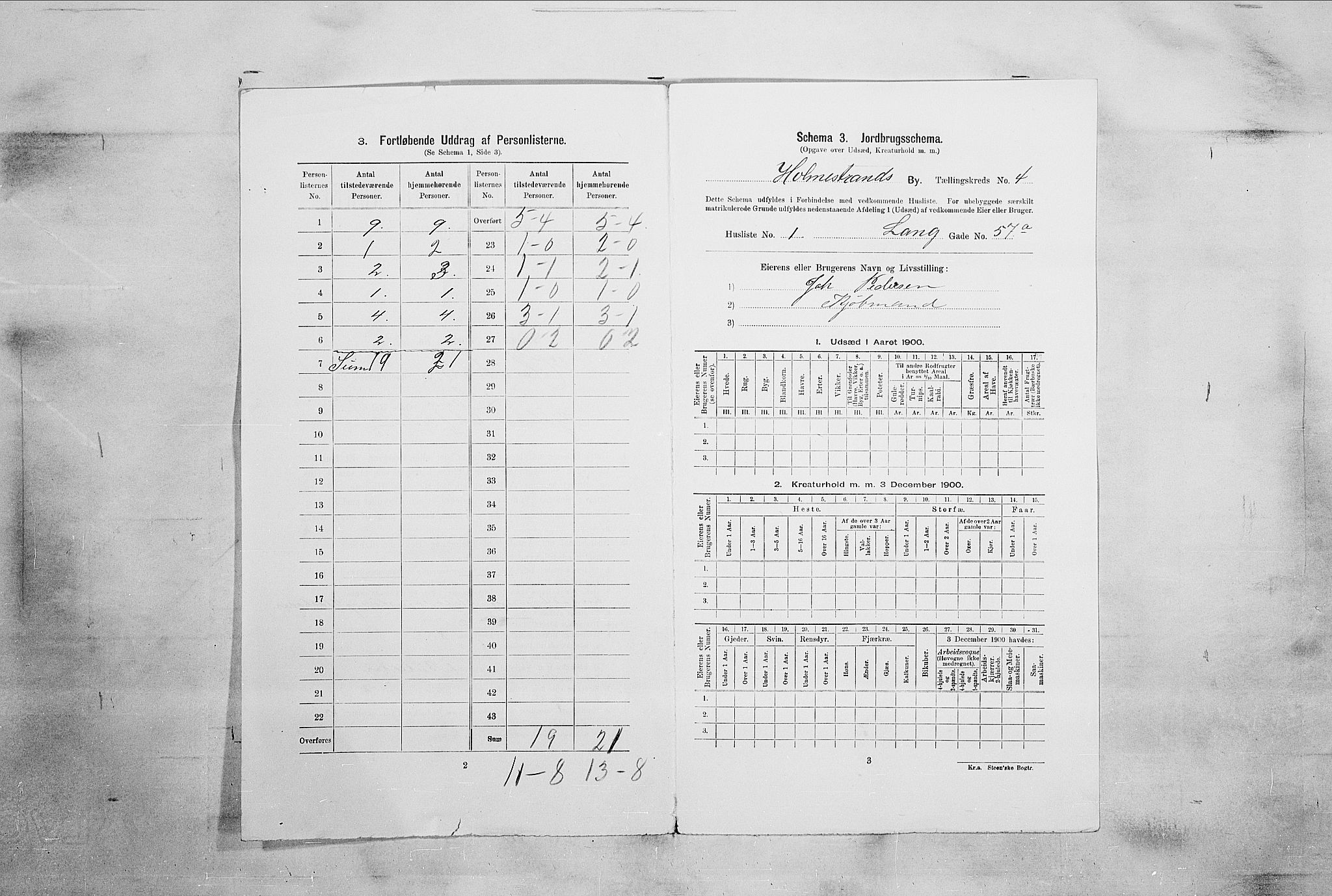 RA, 1900 census for Holmestrand, 1900, p. 849