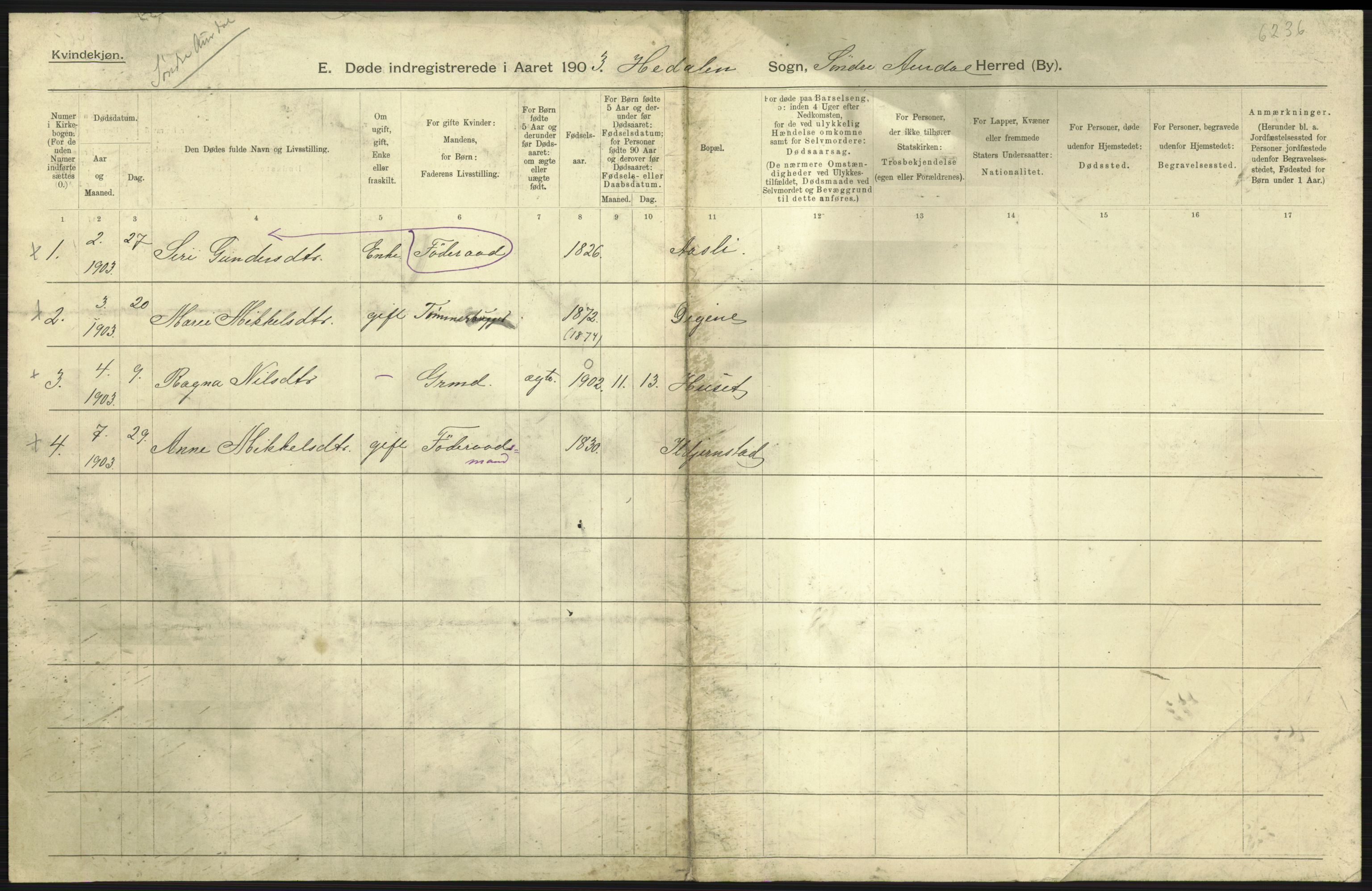 Statistisk sentralbyrå, Sosiodemografiske emner, Befolkning, AV/RA-S-2228/D/Df/Dfa/Dfaa/L0006: Kristians amt: Fødte, gifte, døde, 1903, p. 609