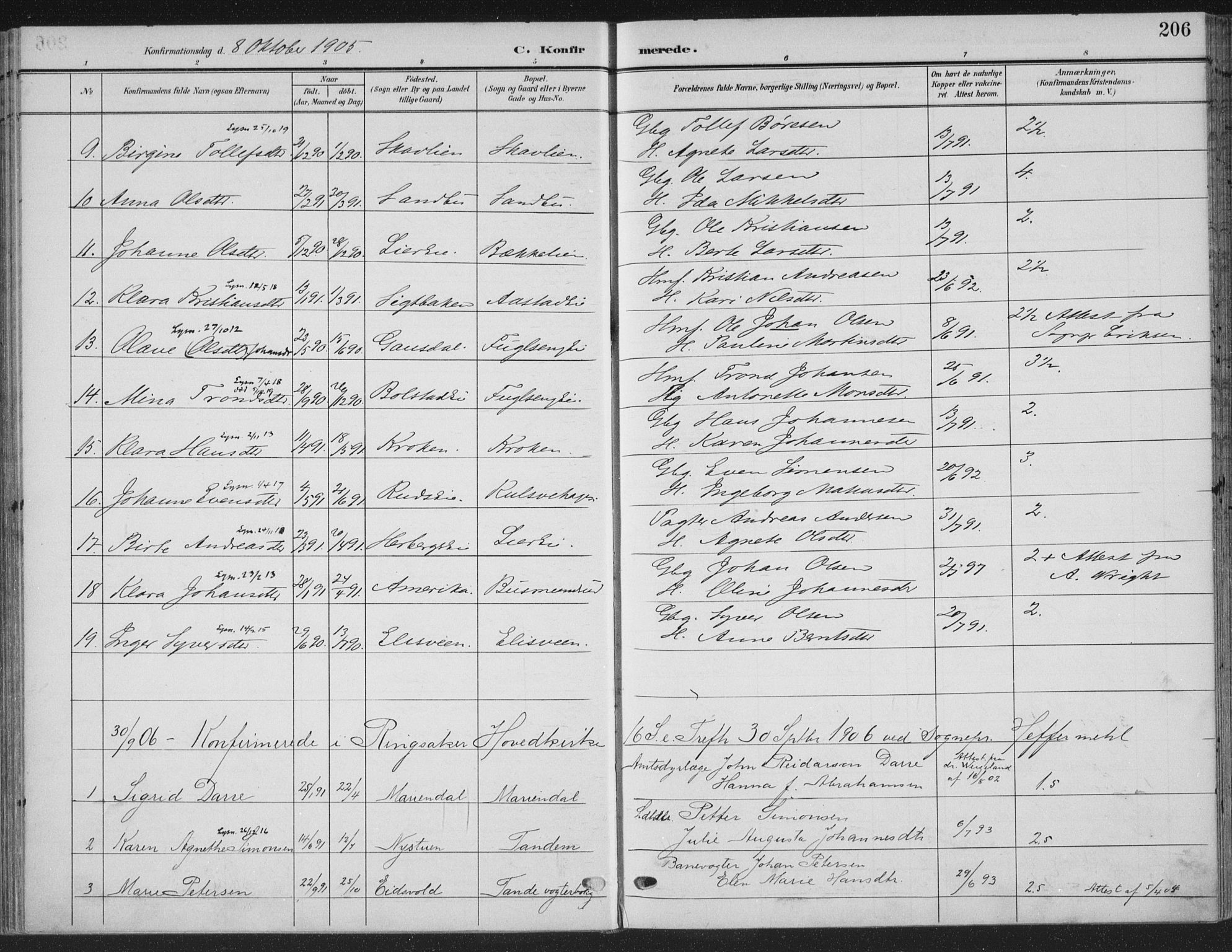 Ringsaker prestekontor, SAH/PREST-014/K/Ka/L0018: Parish register (official) no. 18, 1903-1912, p. 206