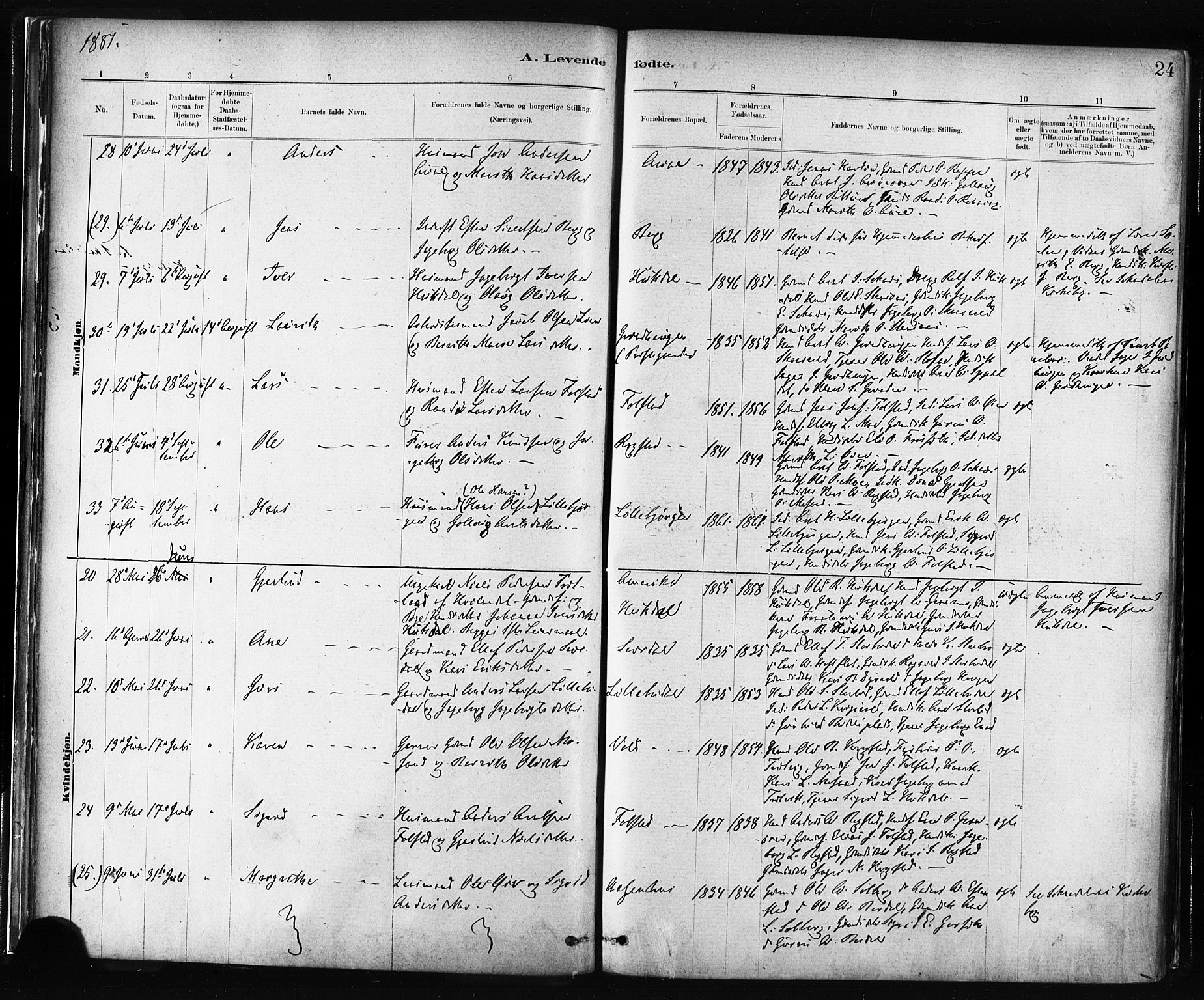 Ministerialprotokoller, klokkerbøker og fødselsregistre - Sør-Trøndelag, AV/SAT-A-1456/687/L1002: Parish register (official) no. 687A08, 1878-1890, p. 24