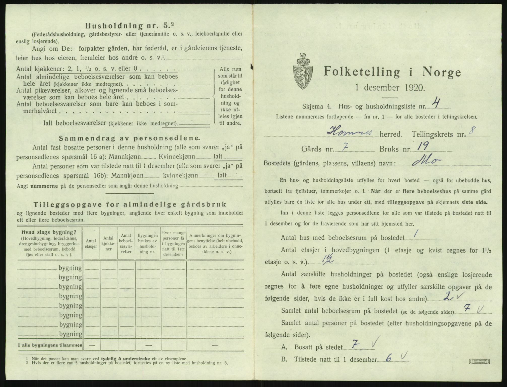 SAK, 1920 census for Hornnes, 1920, p. 293
