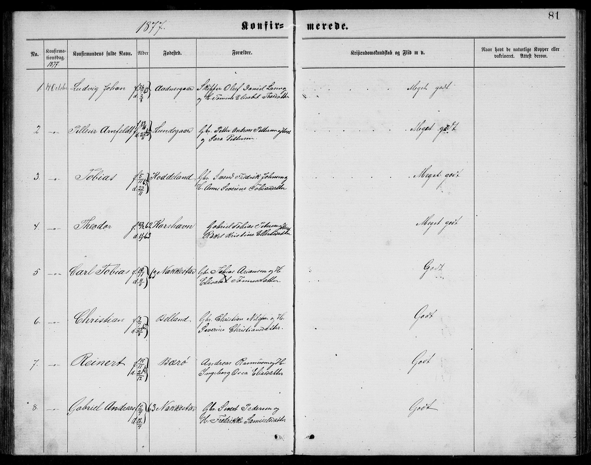 Lyngdal sokneprestkontor, AV/SAK-1111-0029/F/Fb/Fba/L0002: Parish register (copy) no. B 2, 1876-1886, p. 81