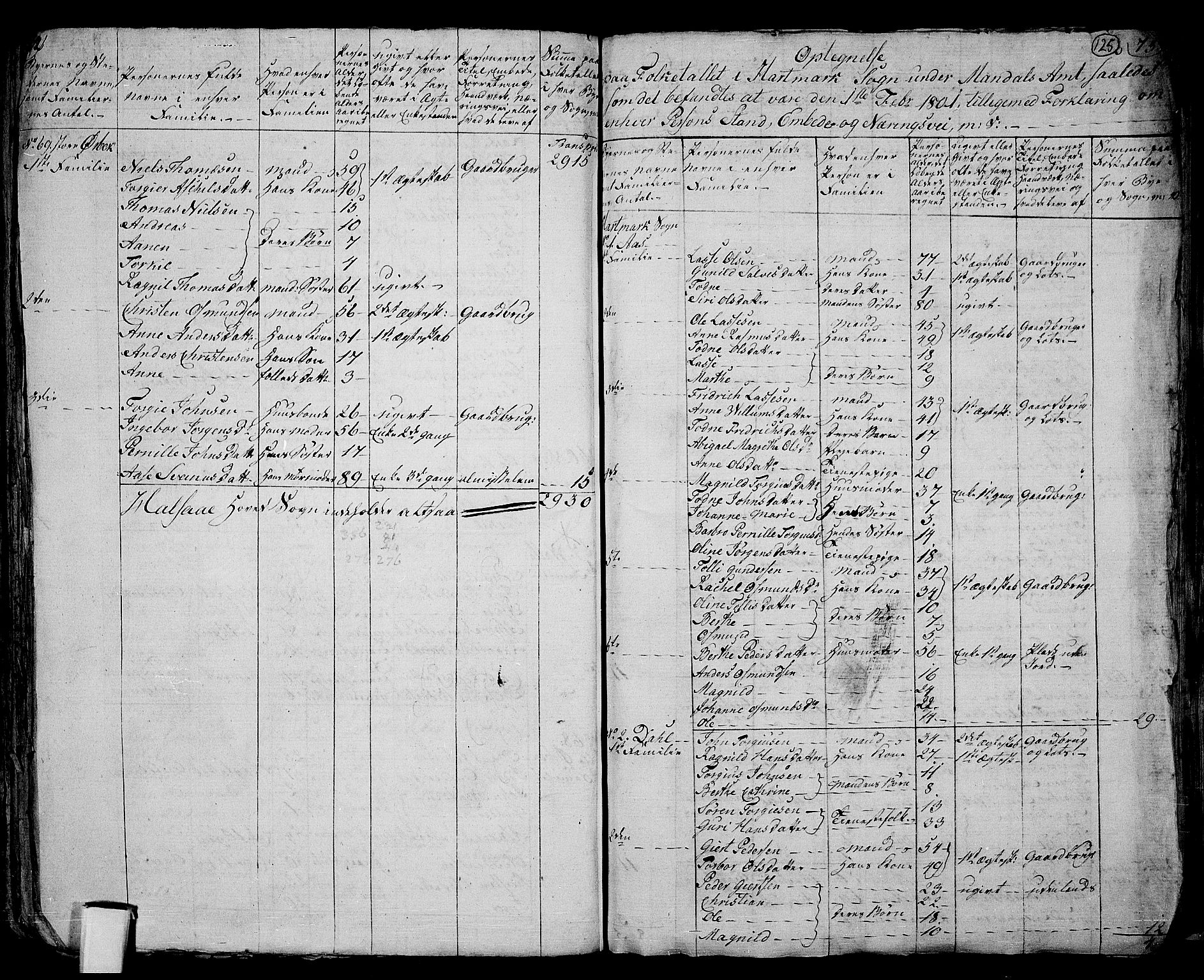 RA, 1801 census for 1019P Mandal, 1801, p. 124b-125a