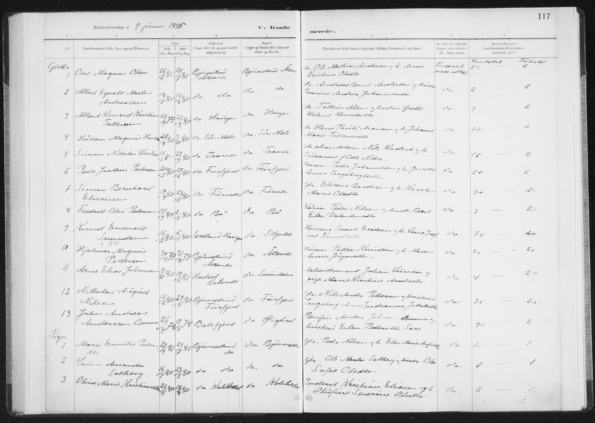 Ministerialprotokoller, klokkerbøker og fødselsregistre - Nordland, SAT/A-1459/898/L1422: Parish register (official) no. 898A02, 1887-1908, p. 117