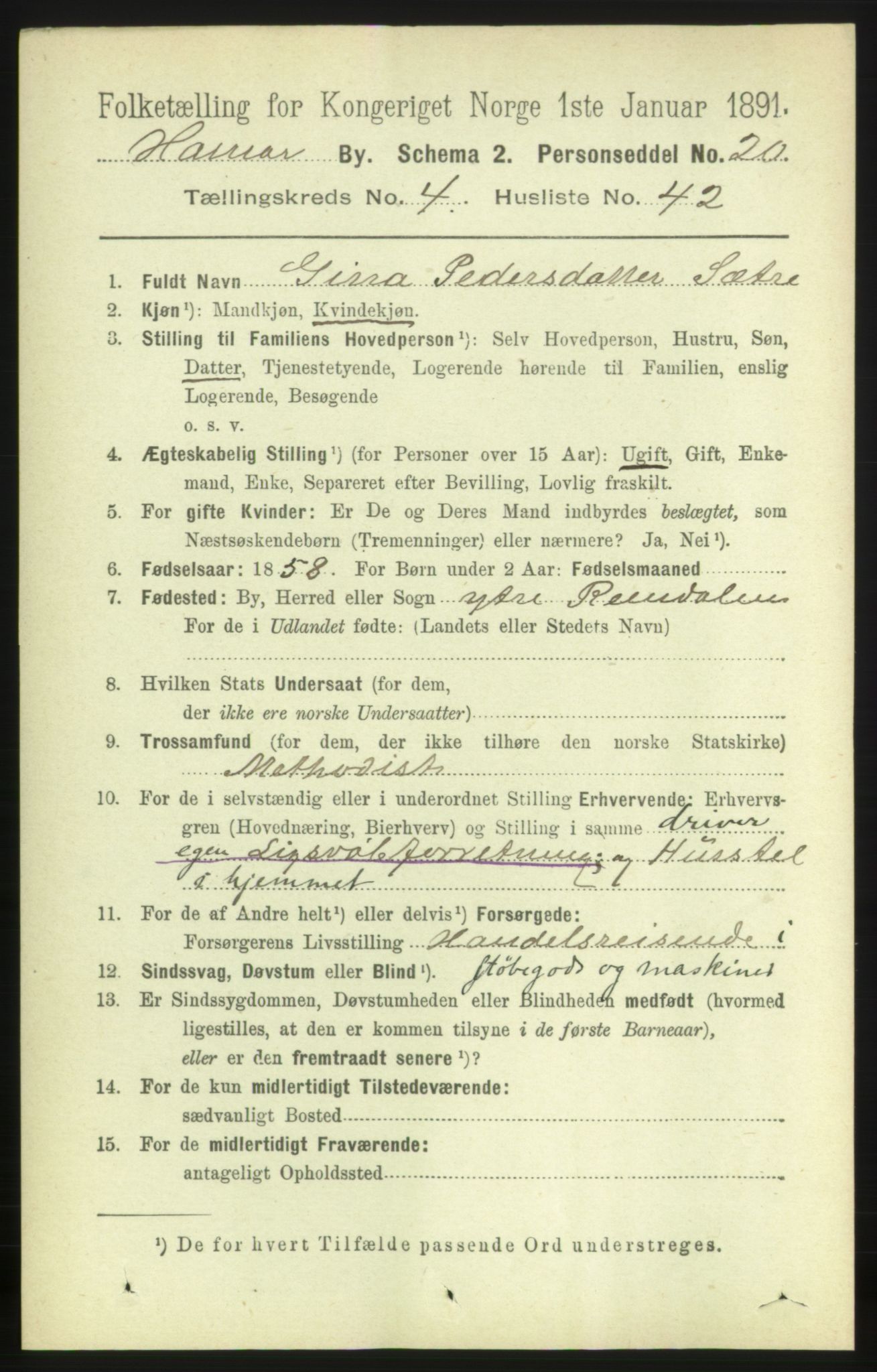RA, 1891 census for 0401 Hamar, 1891, p. 3612