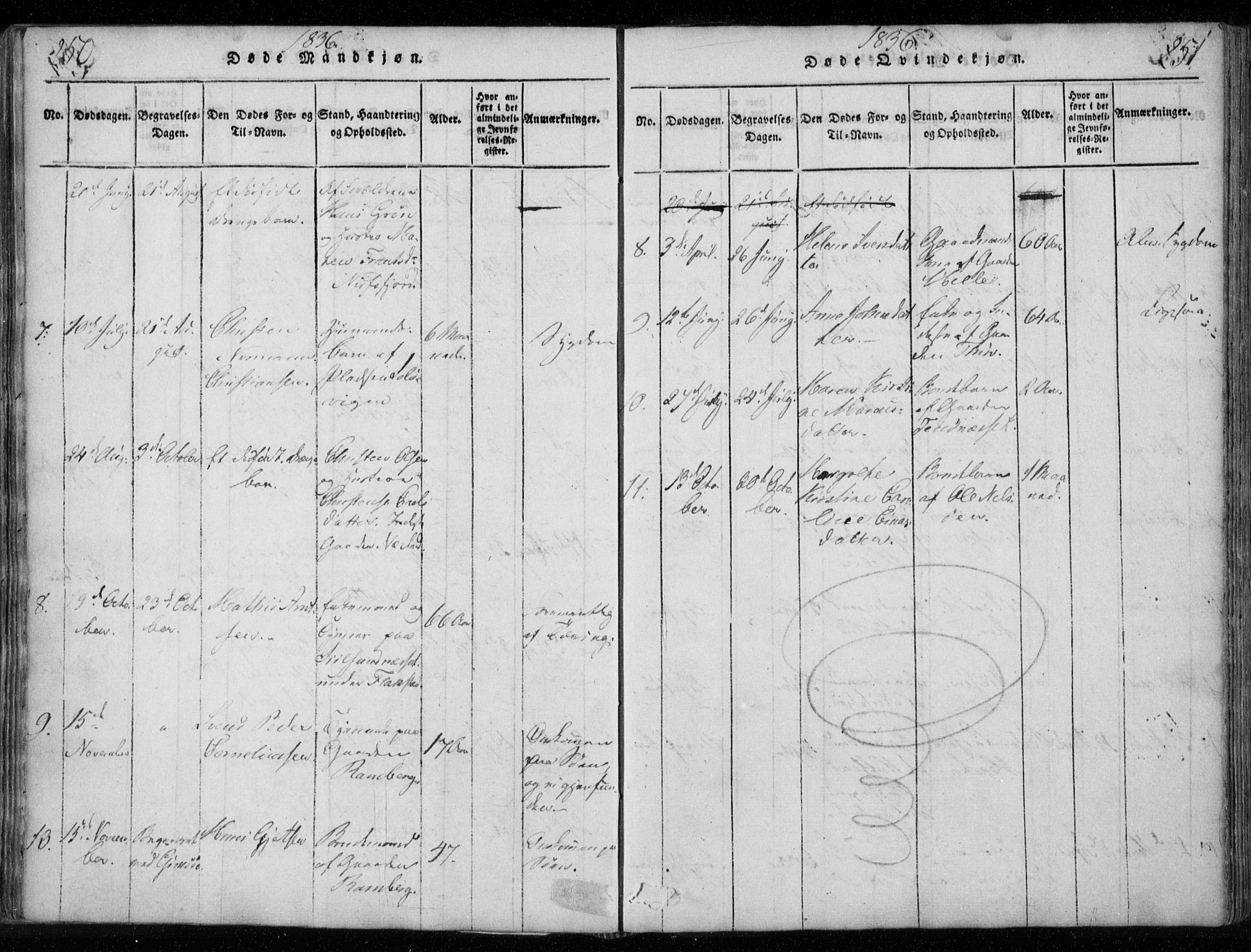 Ministerialprotokoller, klokkerbøker og fødselsregistre - Nordland, AV/SAT-A-1459/885/L1201: Parish register (official) no. 885A02, 1820-1837, p. 250-251