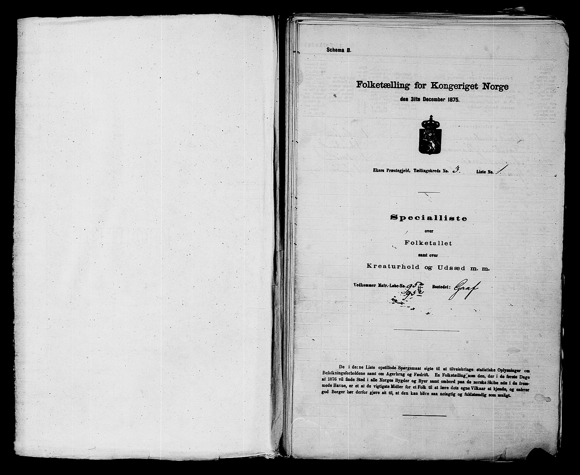 SAKO, 1875 census for 0624P Eiker, 1875, p. 507