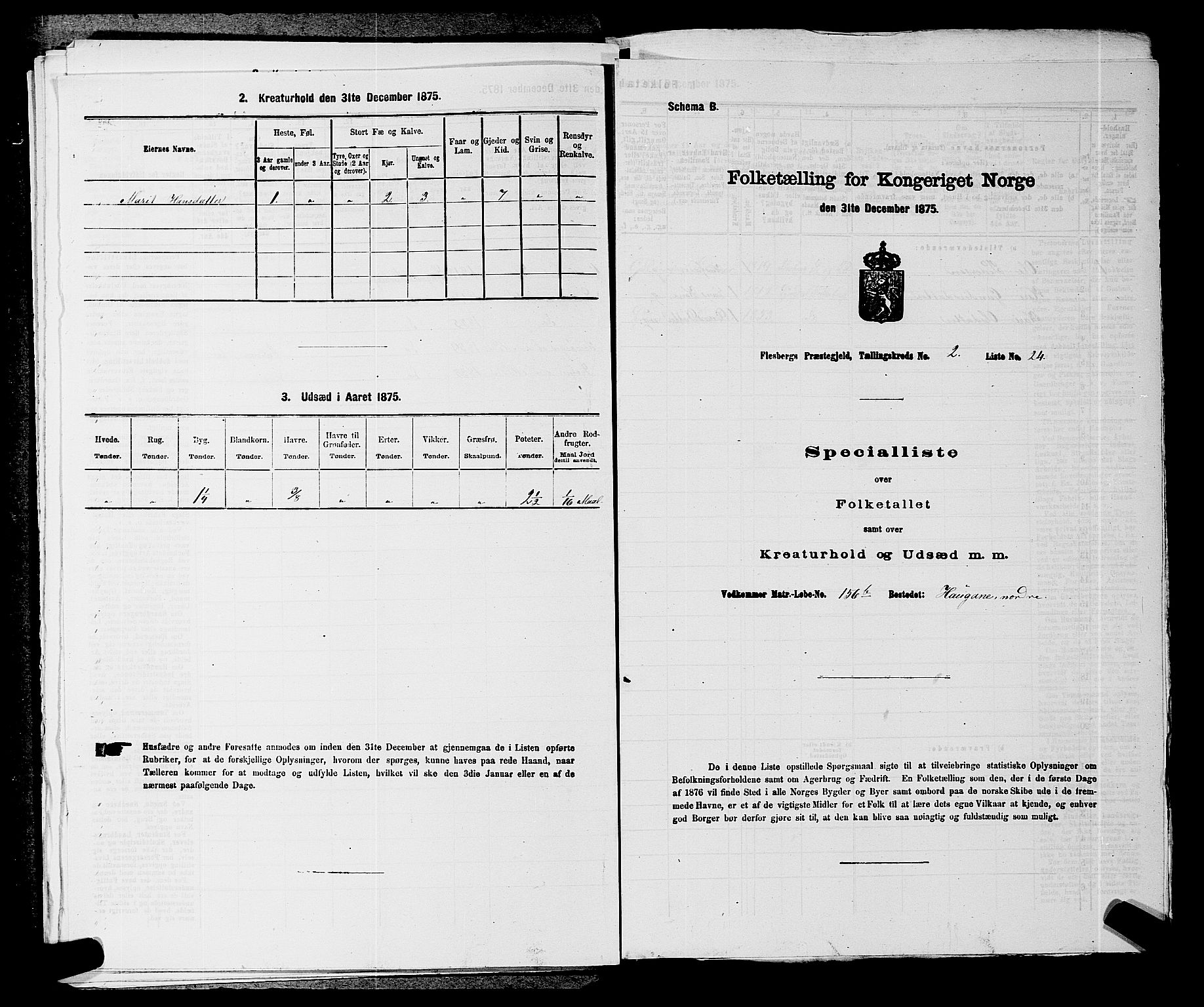 SAKO, 1875 census for 0631P Flesberg, 1875, p. 528