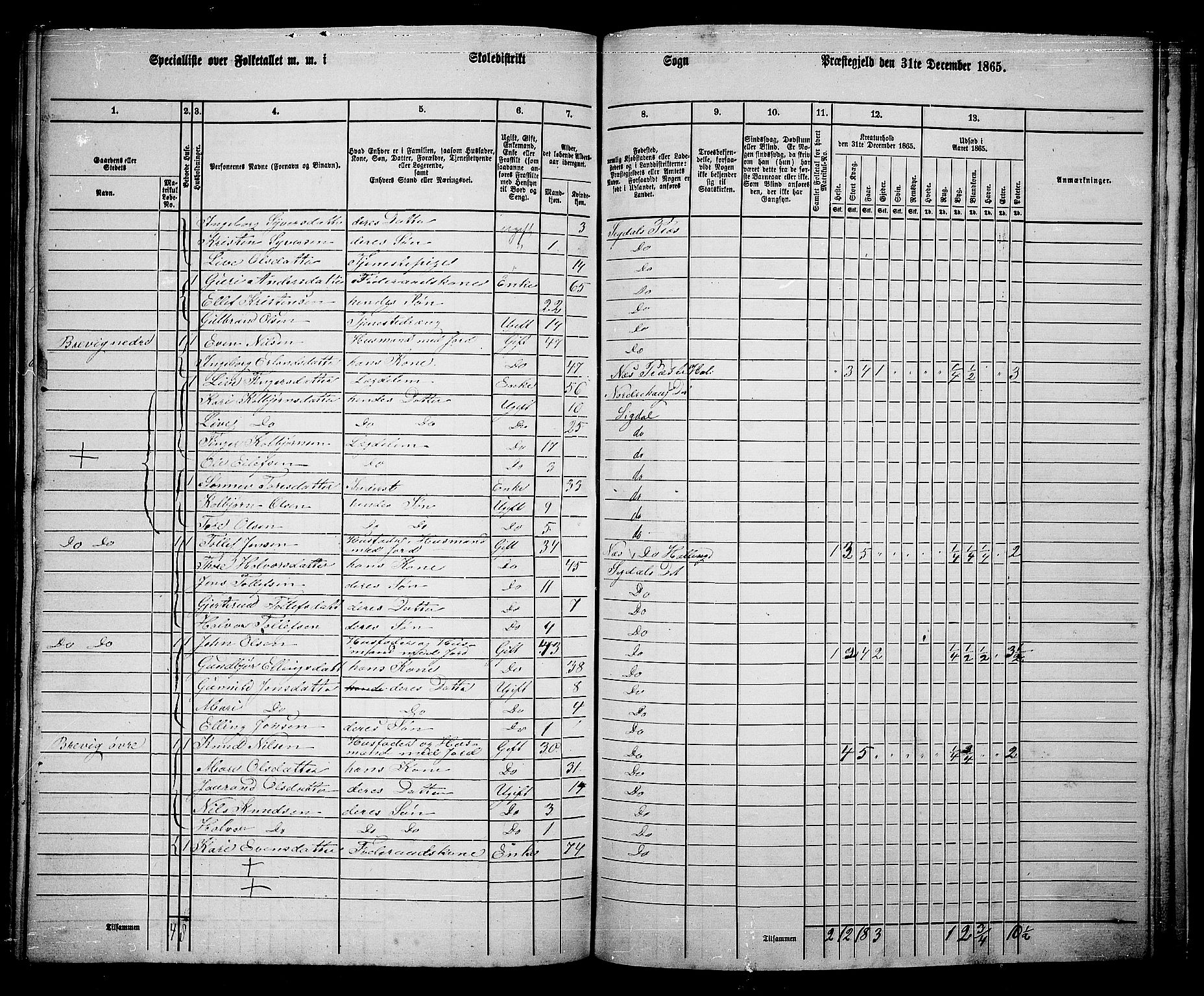 RA, 1865 census for Sigdal, 1865, p. 259