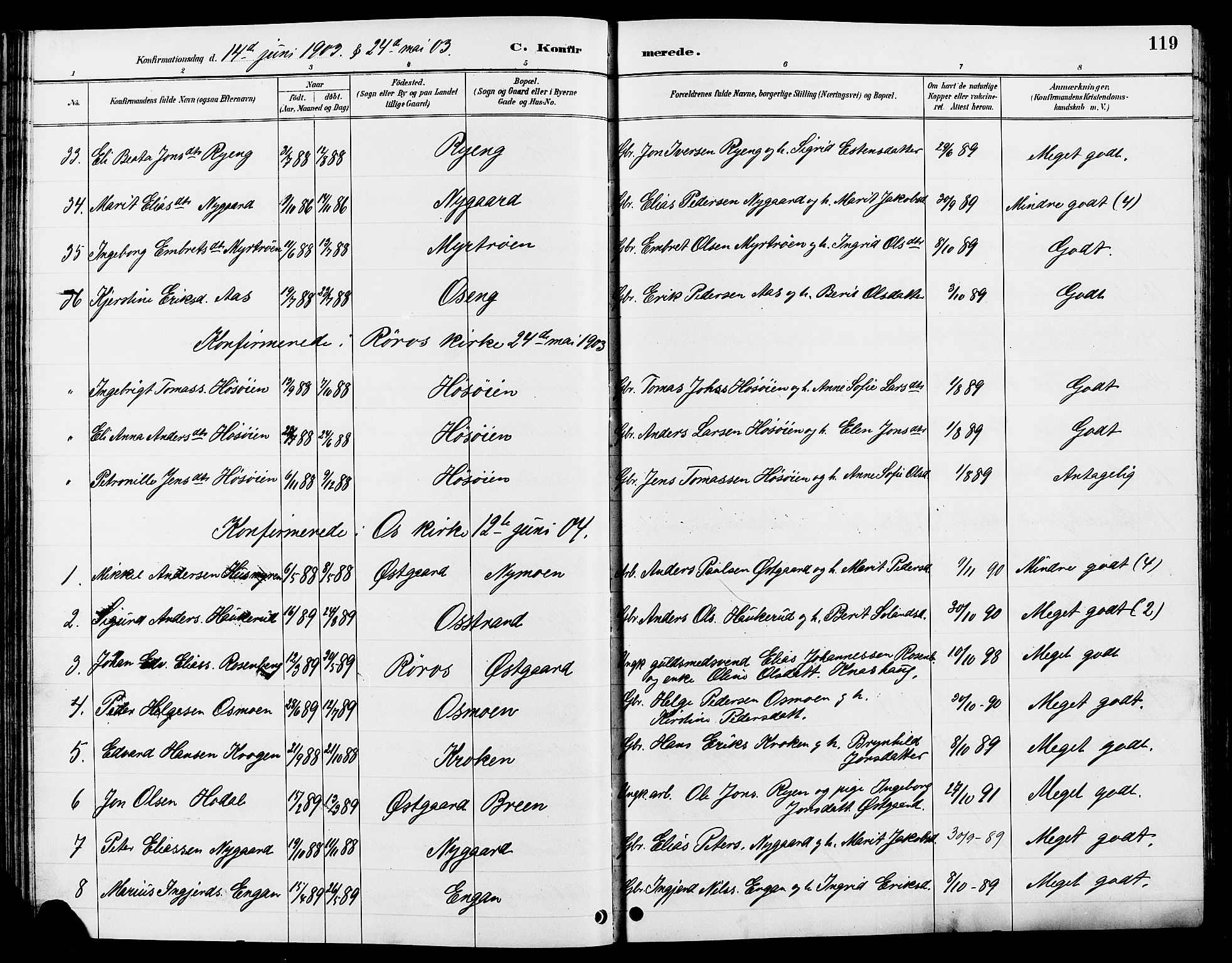 Tolga prestekontor, AV/SAH-PREST-062/L/L0008: Parish register (copy) no. 8, 1887-1912, p. 119