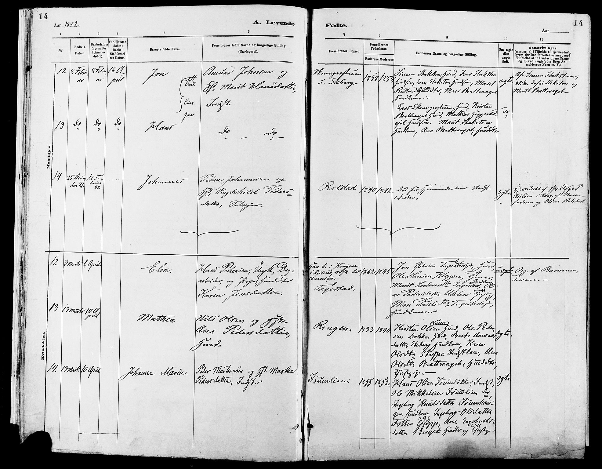 Sør-Fron prestekontor, AV/SAH-PREST-010/H/Ha/Haa/L0003: Parish register (official) no. 3, 1881-1897, p. 14