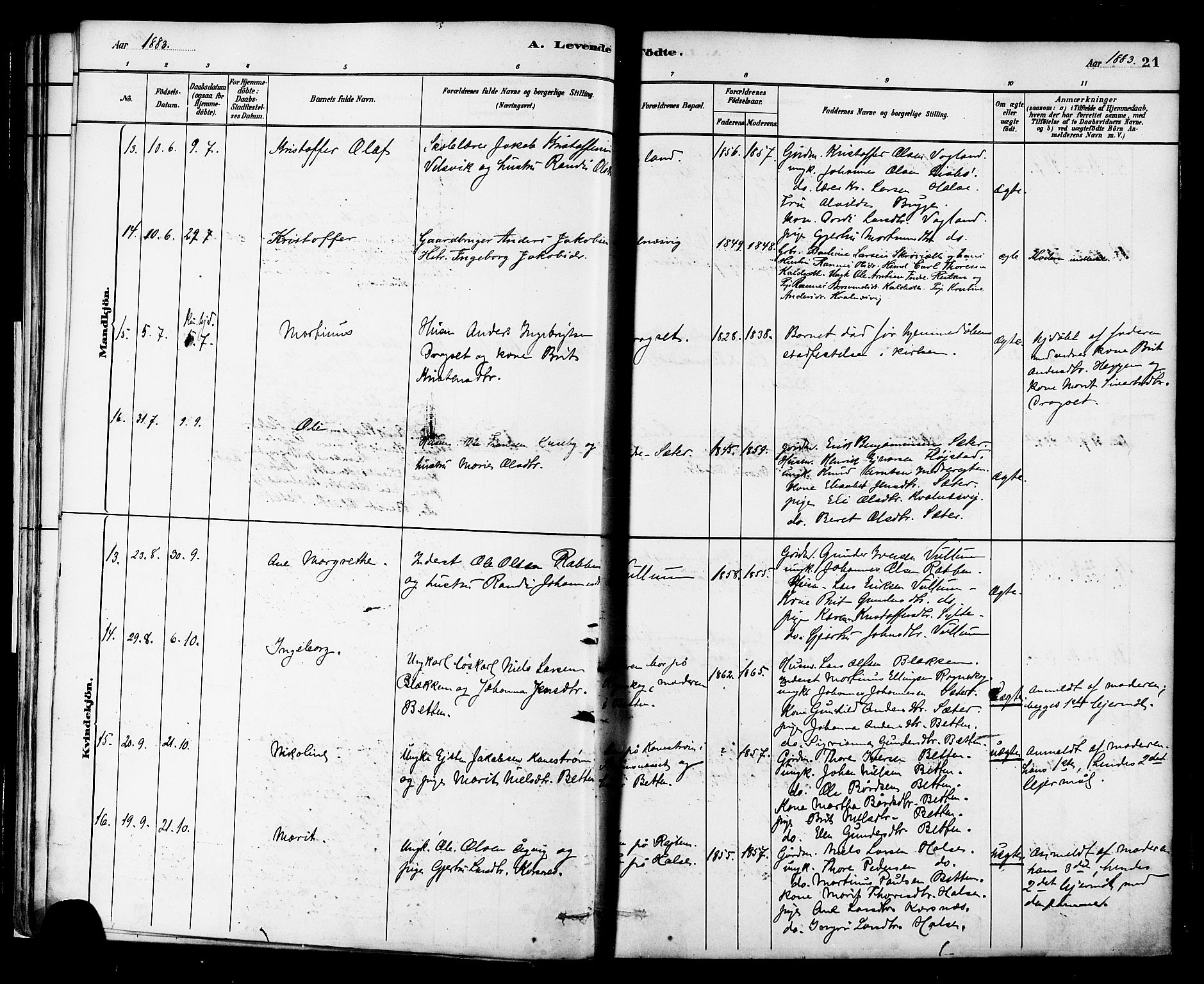 Ministerialprotokoller, klokkerbøker og fødselsregistre - Møre og Romsdal, AV/SAT-A-1454/576/L0885: Parish register (official) no. 576A03, 1880-1898, p. 21