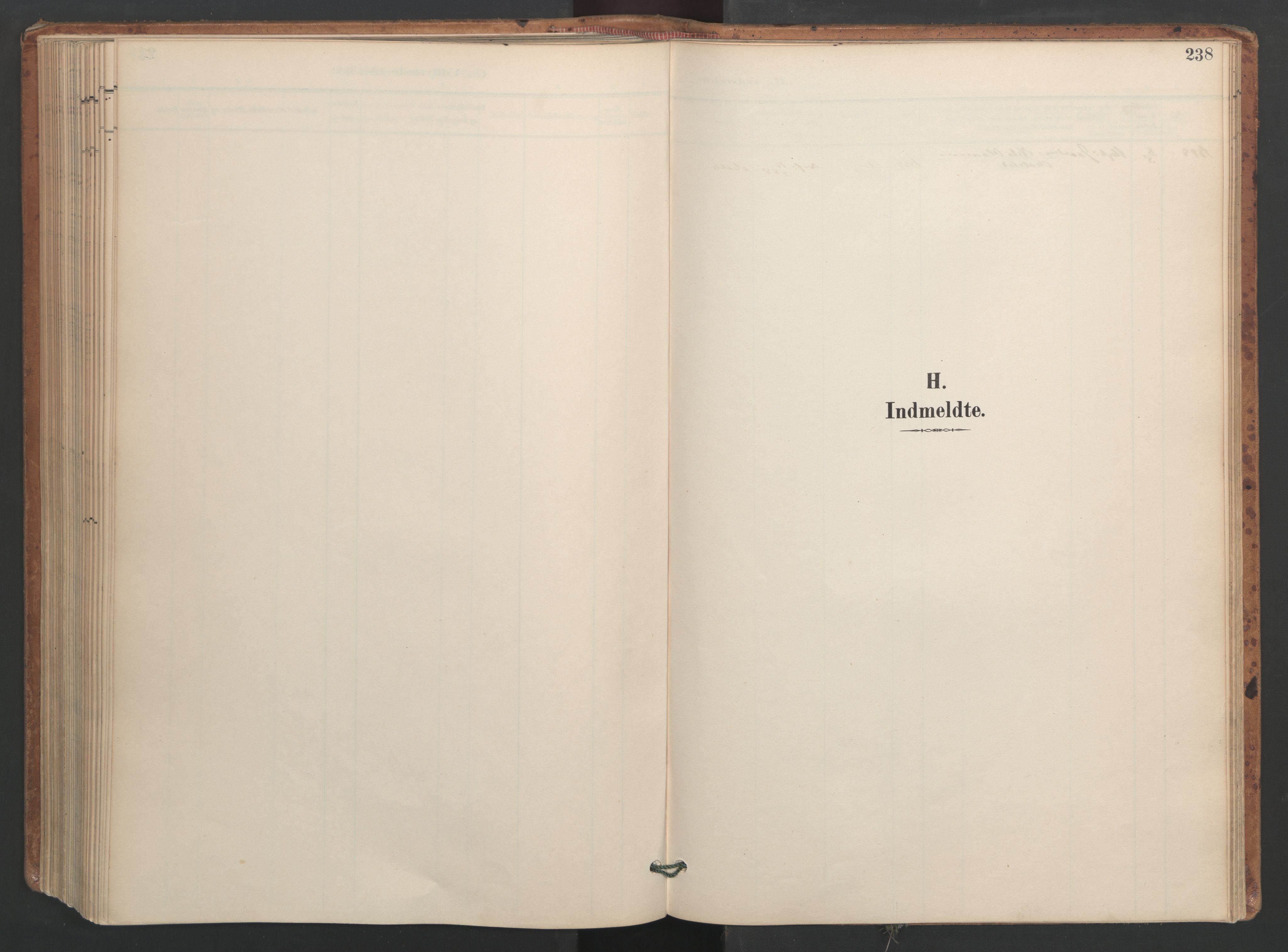 Ministerialprotokoller, klokkerbøker og fødselsregistre - Sør-Trøndelag, SAT/A-1456/655/L0681: Parish register (official) no. 655A10, 1895-1907, p. 238
