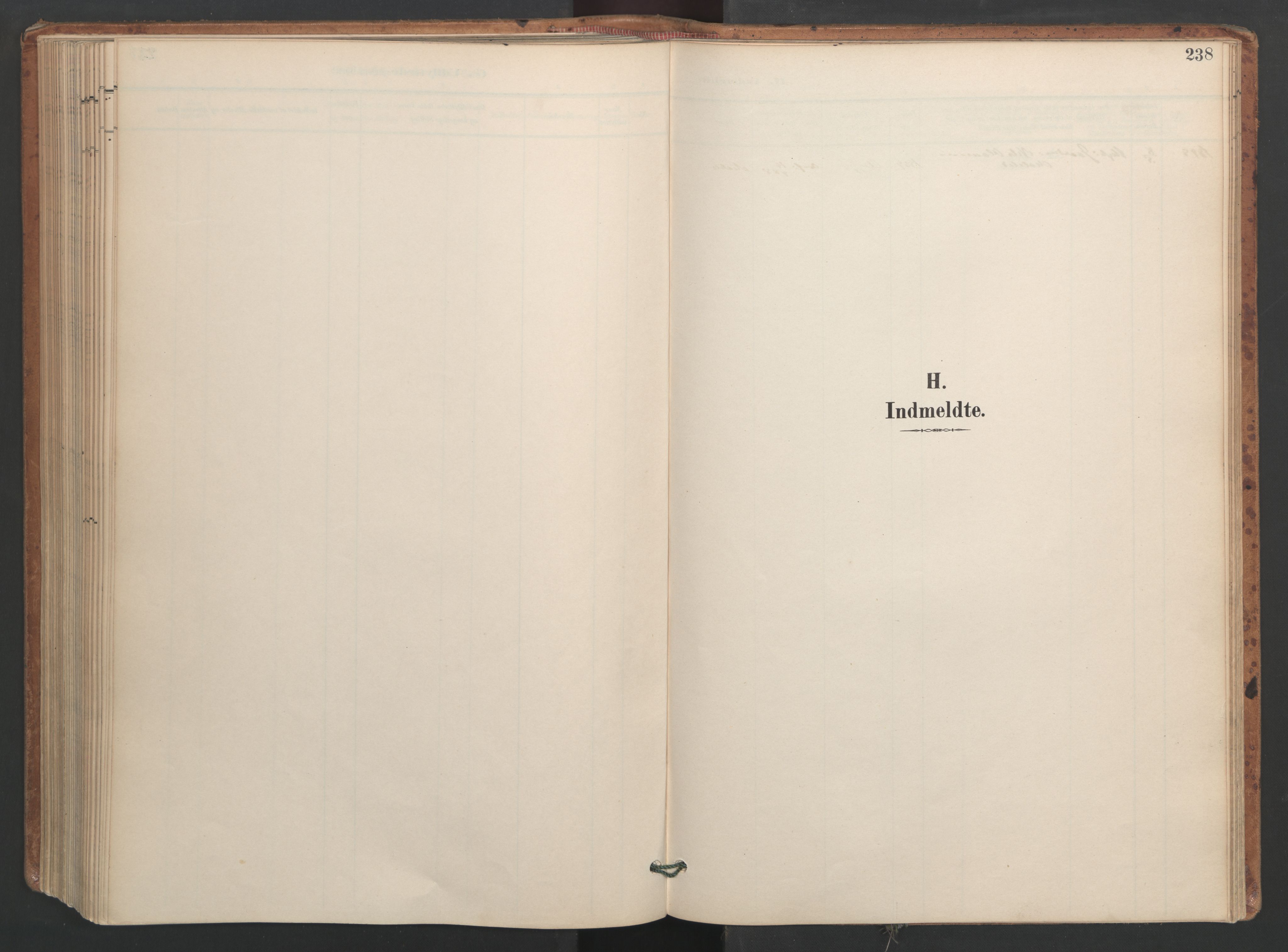 Ministerialprotokoller, klokkerbøker og fødselsregistre - Sør-Trøndelag, AV/SAT-A-1456/655/L0681: Parish register (official) no. 655A10, 1895-1907, p. 238