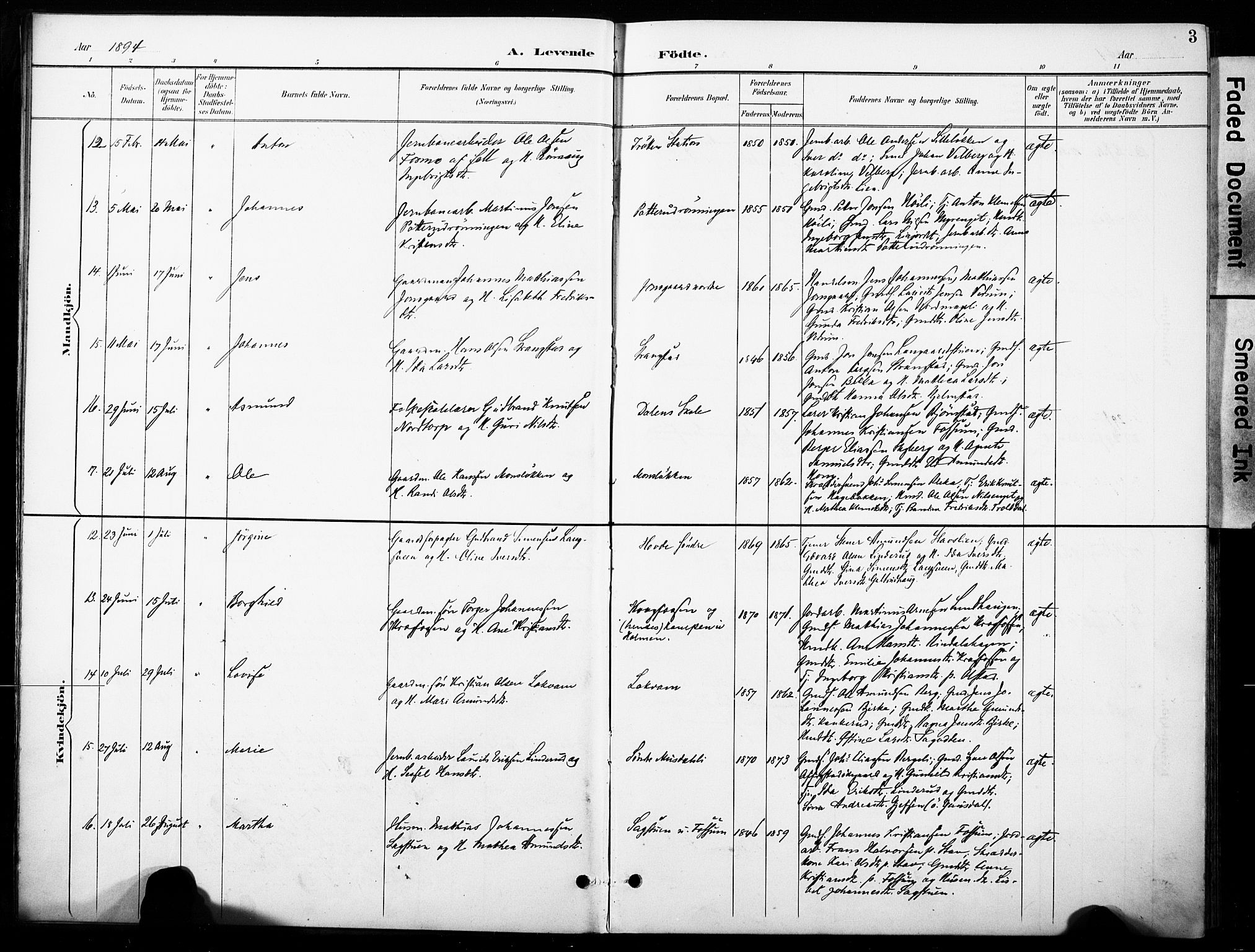 Øyer prestekontor, AV/SAH-PREST-084/H/Ha/Haa/L0011: Parish register (official) no. 11, 1894-1905, p. 3