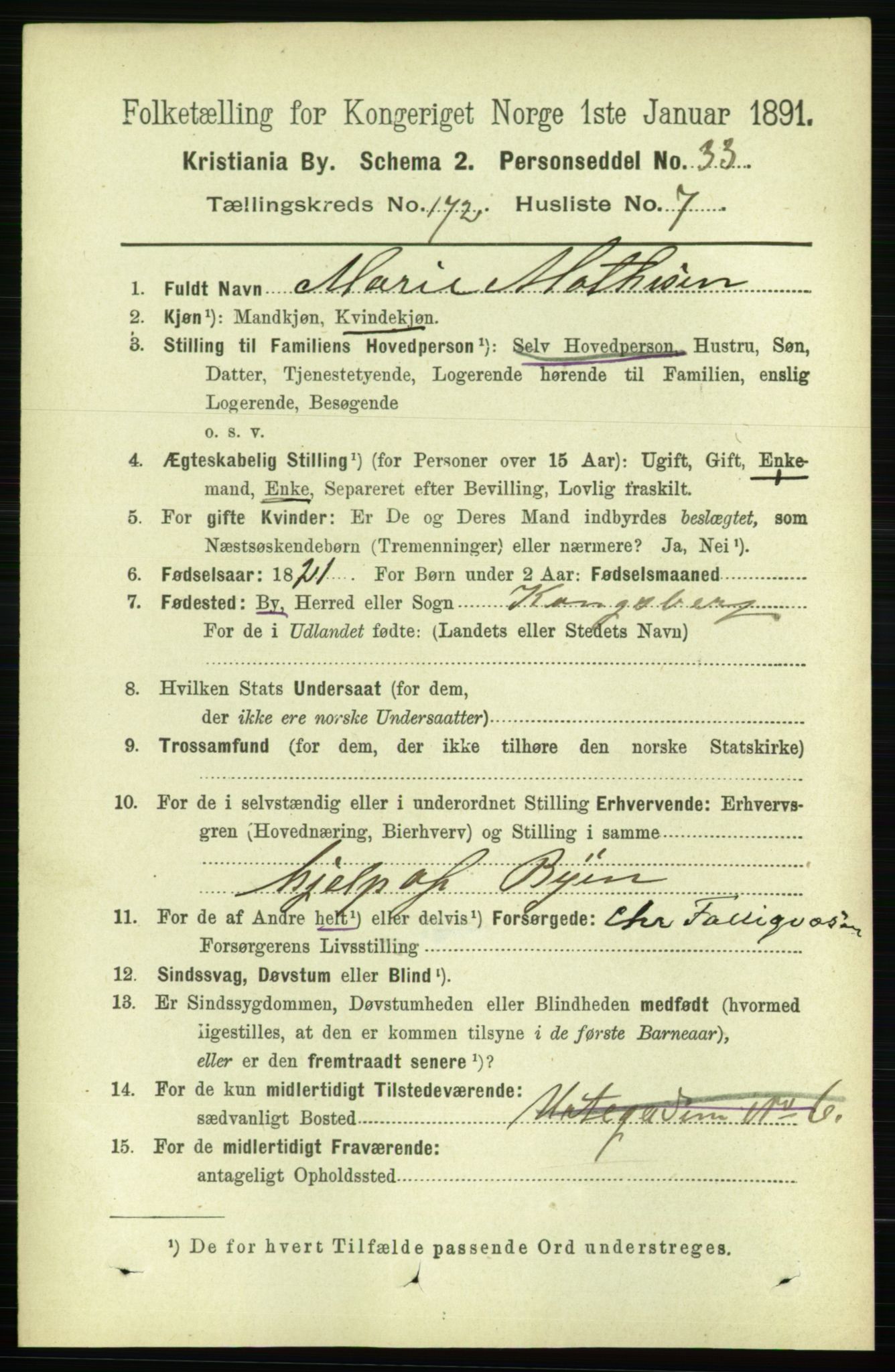 RA, 1891 census for 0301 Kristiania, 1891, p. 102099