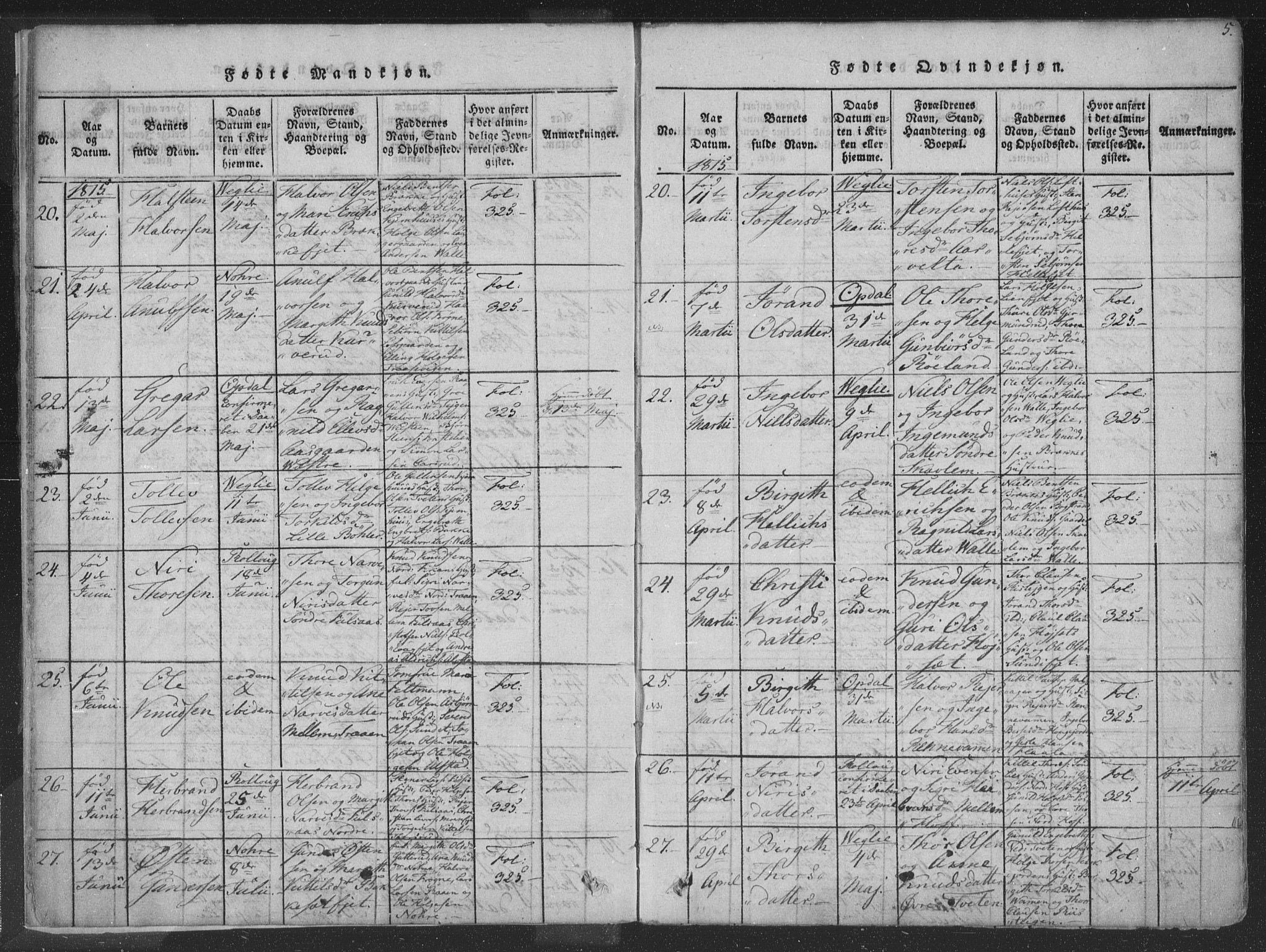 Rollag kirkebøker, AV/SAKO-A-240/F/Fa/L0006: Parish register (official) no. I 6, 1814-1828, p. 5