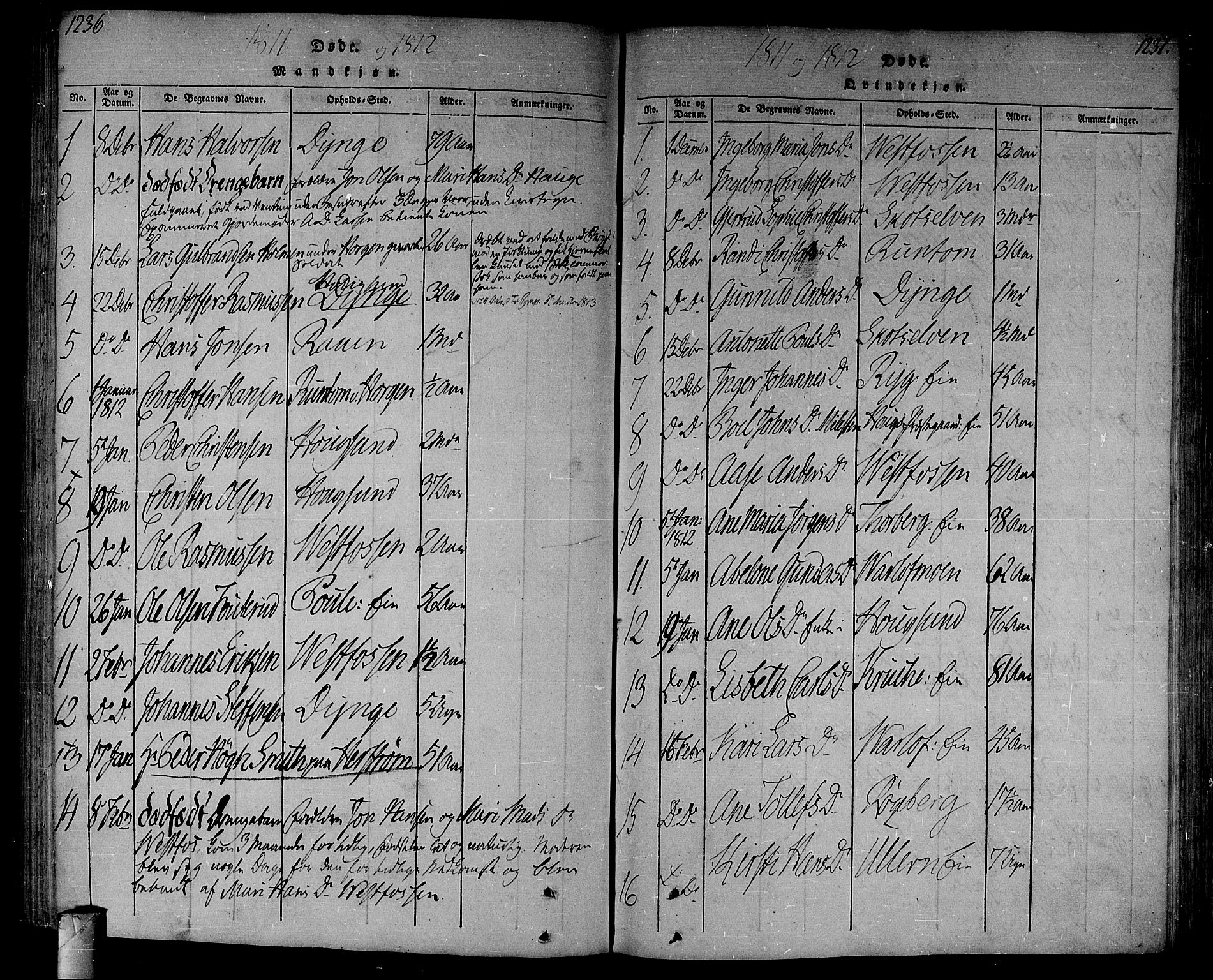 Eiker kirkebøker, SAKO/A-4/F/Fa/L0010: Parish register (official) no. I 10, 1806-1815, p. 1236-1237