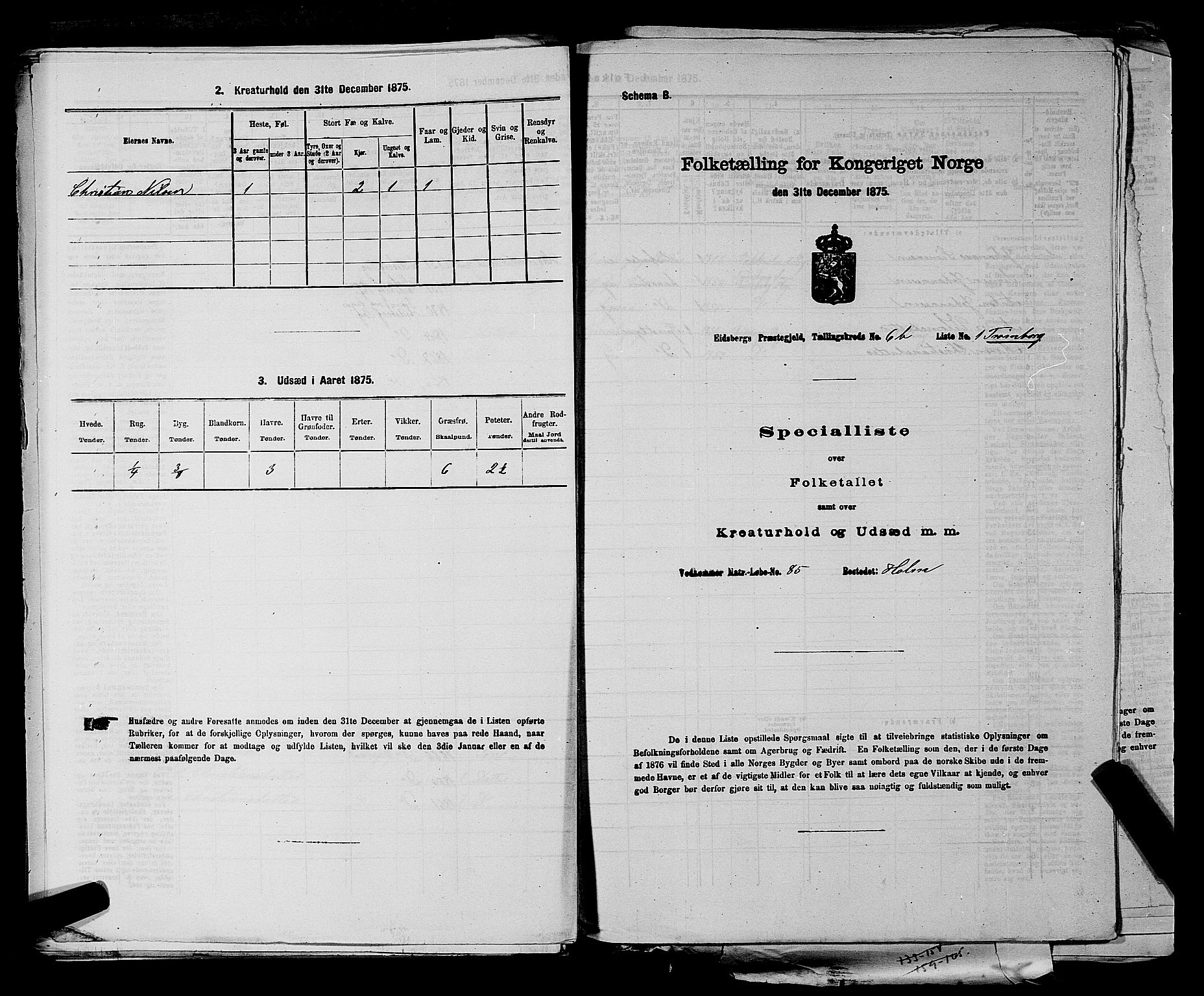 RA, 1875 census for 0125P Eidsberg, 1875, p. 1344
