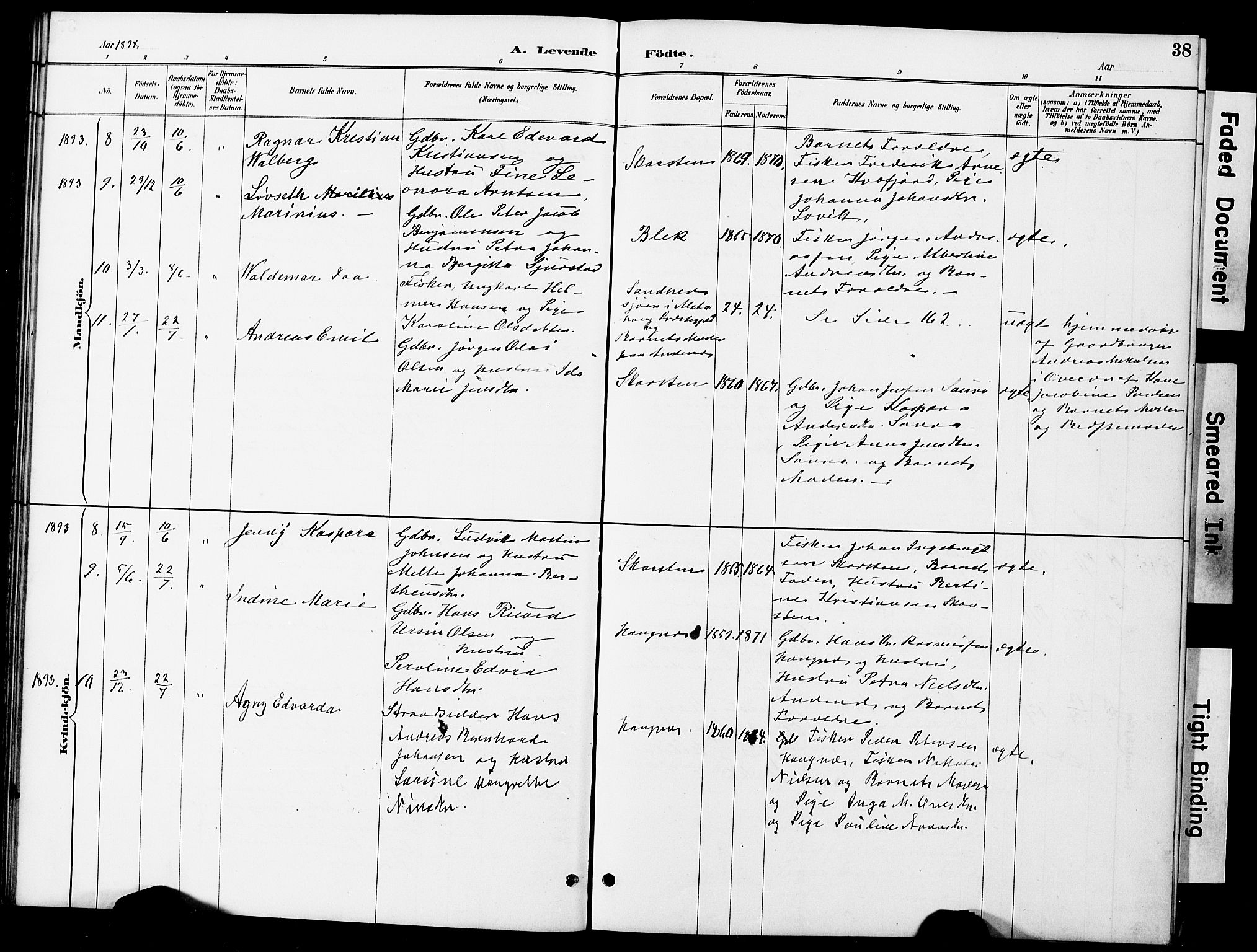 Ministerialprotokoller, klokkerbøker og fødselsregistre - Nordland, AV/SAT-A-1459/899/L1448: Parish register (copy) no. 899C03, 1887-1902, p. 38