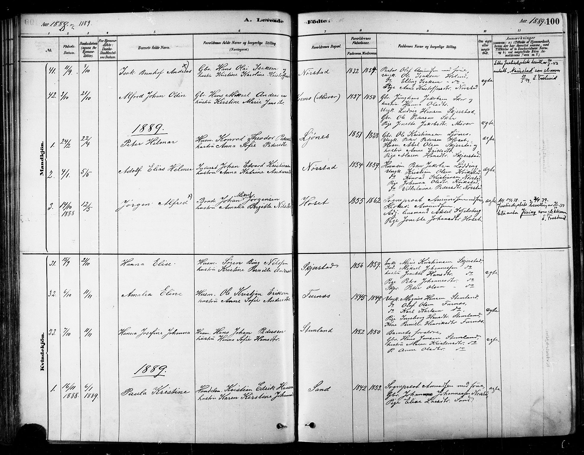 Ministerialprotokoller, klokkerbøker og fødselsregistre - Nordland, AV/SAT-A-1459/852/L0740: Parish register (official) no. 852A10, 1878-1894, p. 100