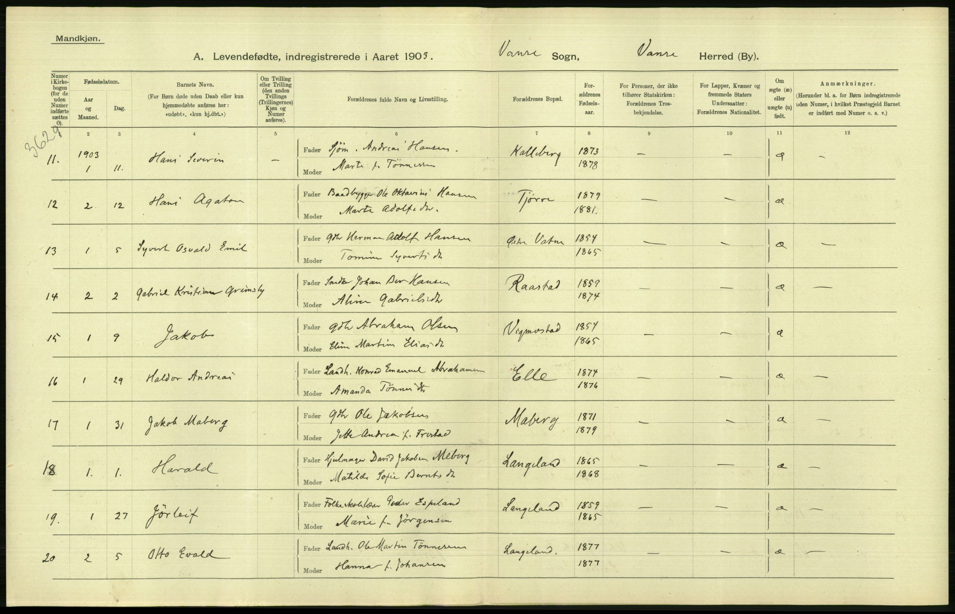 Statistisk sentralbyrå, Sosiodemografiske emner, Befolkning, AV/RA-S-2228/D/Df/Dfa/Dfaa/L0011: Lister og Mandal amt: Fødte, gifte, døde, 1903, p. 96