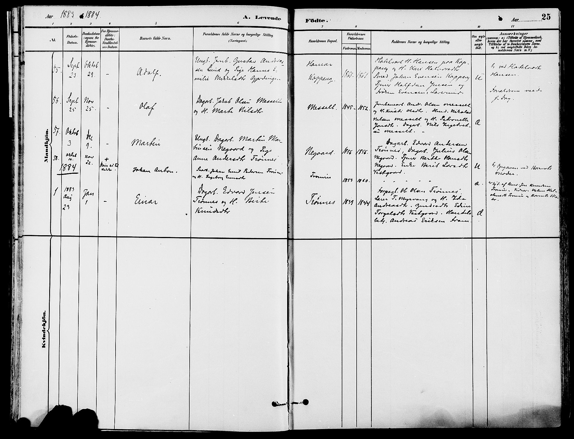 Stor-Elvdal prestekontor, SAH/PREST-052/H/Ha/Haa/L0002: Parish register (official) no. 2, 1882-1907, p. 25