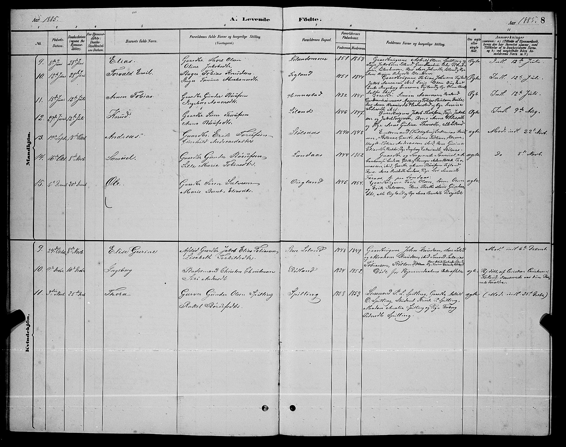 Nord-Audnedal sokneprestkontor, AV/SAK-1111-0032/F/Fb/Fbb/L0003: Parish register (copy) no. B 3, 1882-1900, p. 8