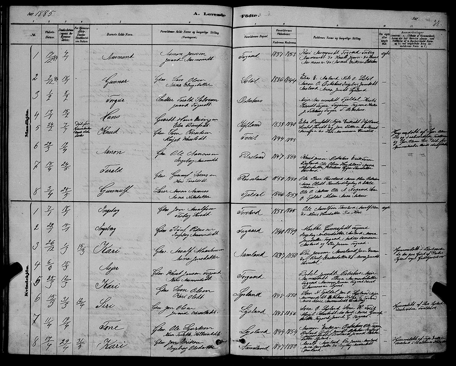 Åseral sokneprestkontor, AV/SAK-1111-0051/F/Fb/L0002: Parish register (copy) no. B 2, 1878-1899, p. 38