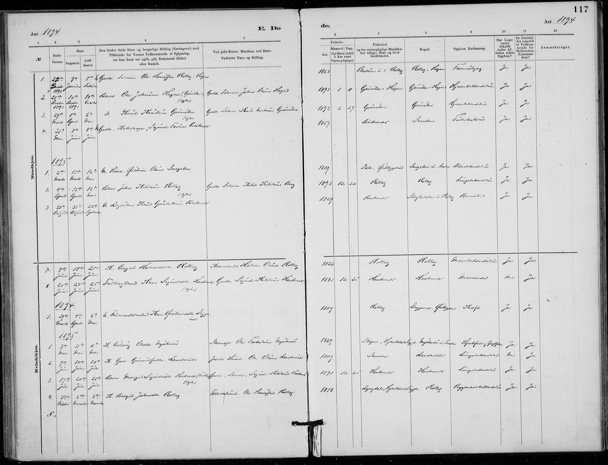 Tinn kirkebøker, SAKO/A-308/F/Fb/L0002: Parish register (official) no. II 2, 1878-1917, p. 117