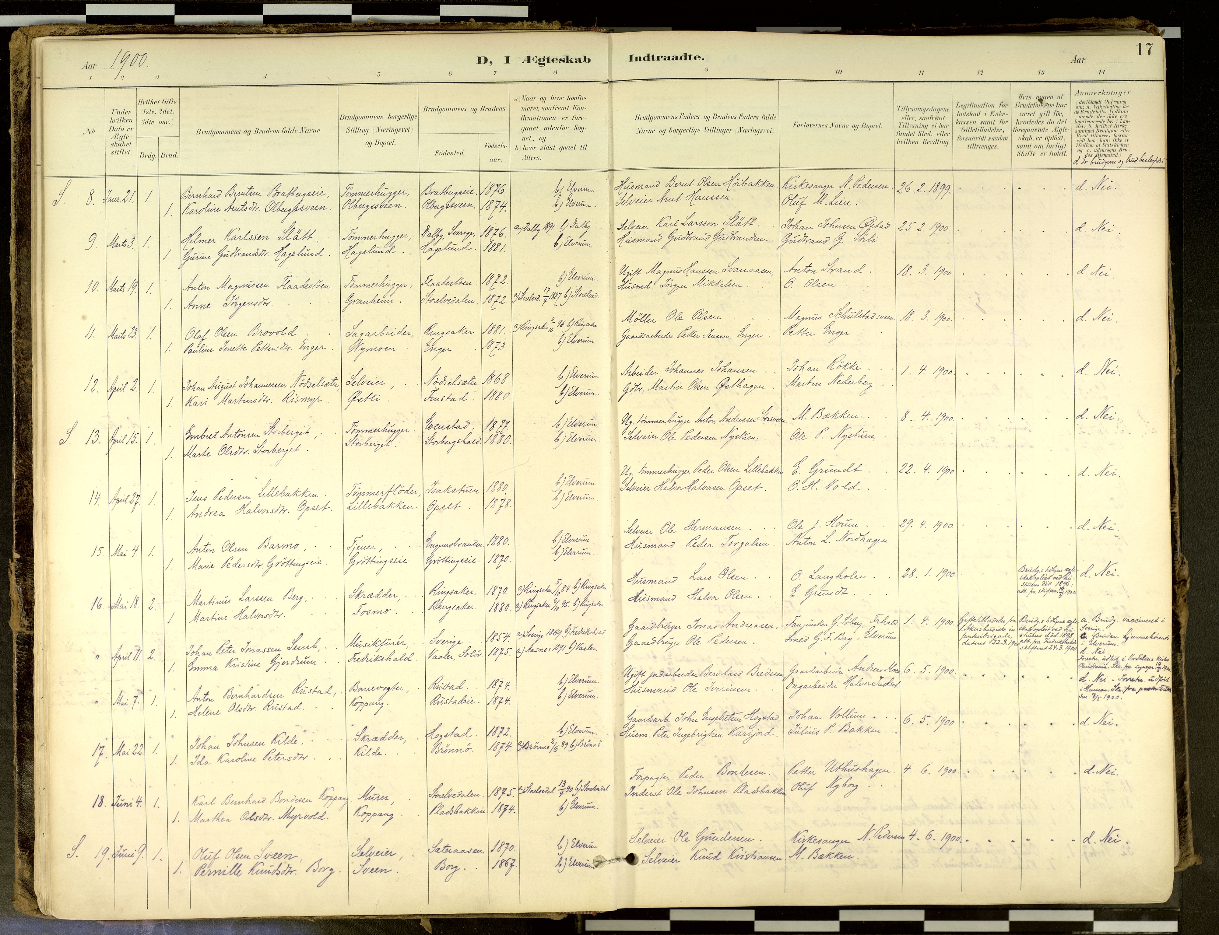 Elverum prestekontor, SAH/PREST-044/H/Ha/Haa/L0018: Parish register (official) no. 18, 1894-1914, p. 17