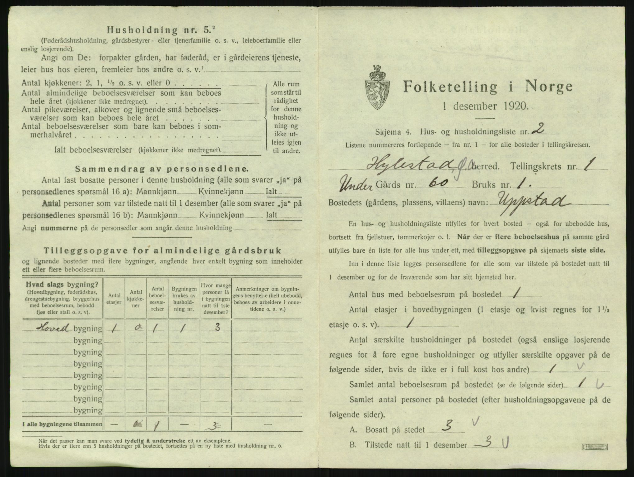 SAK, 1920 census for Hylestad, 1920, p. 30
