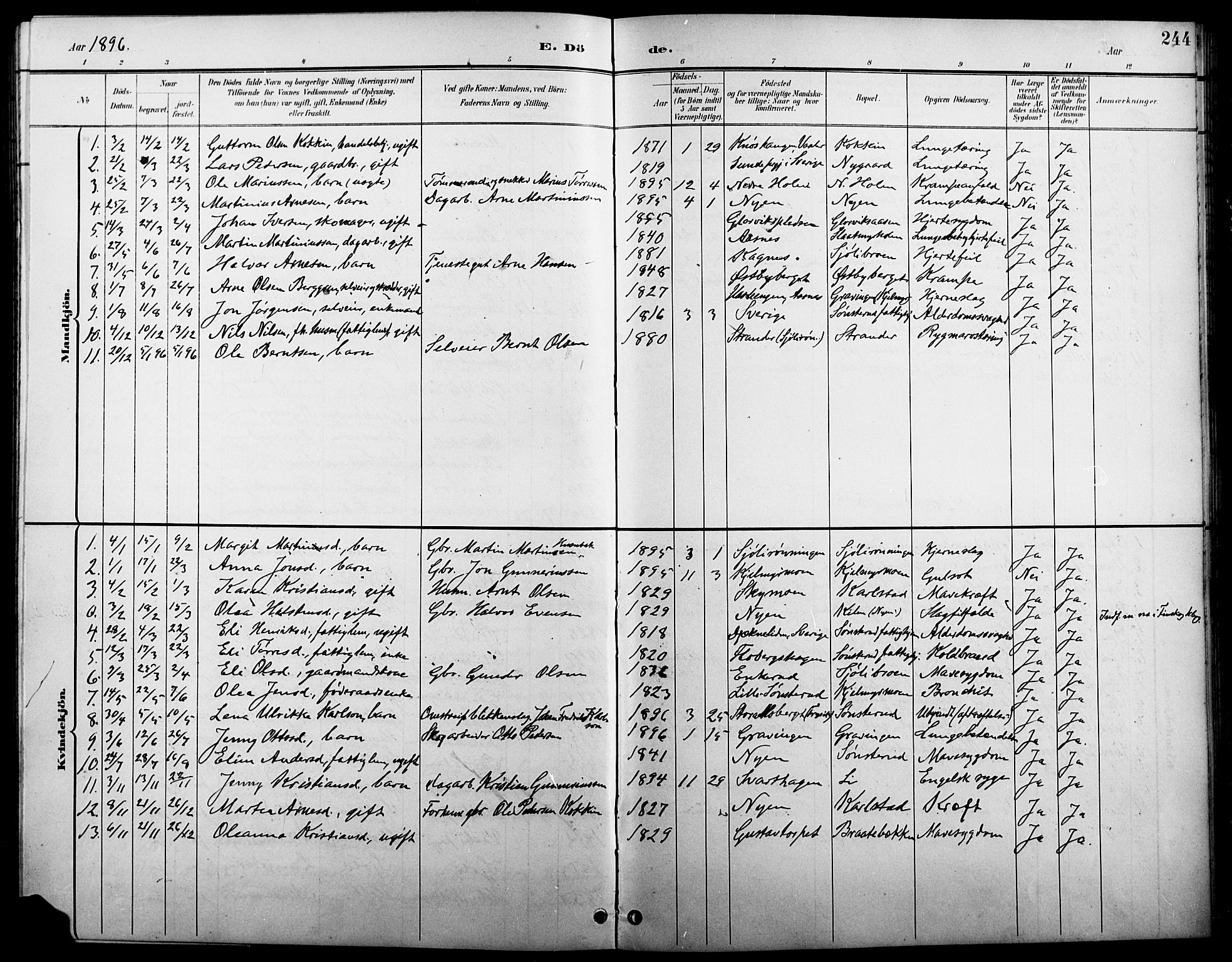 Åsnes prestekontor, SAH/PREST-042/H/Ha/Hab/L0005: Parish register (copy) no. 5, 1895-1920, p. 244