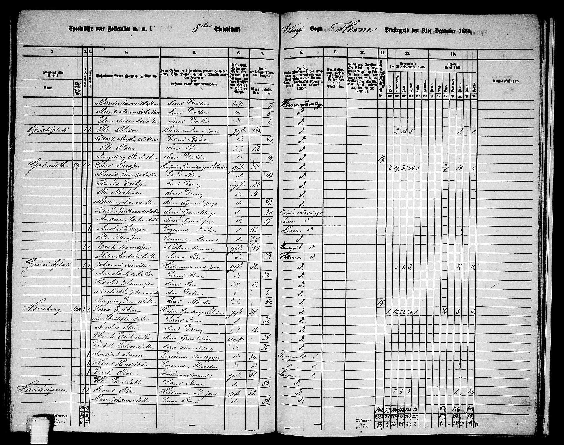 RA, 1865 census for Hemne, 1865, p. 174