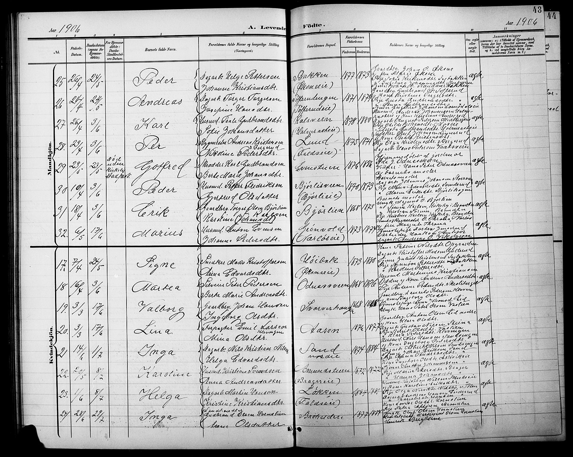 Søndre Land prestekontor, AV/SAH-PREST-122/L/L0004: Parish register (copy) no. 4, 1901-1915, p. 43