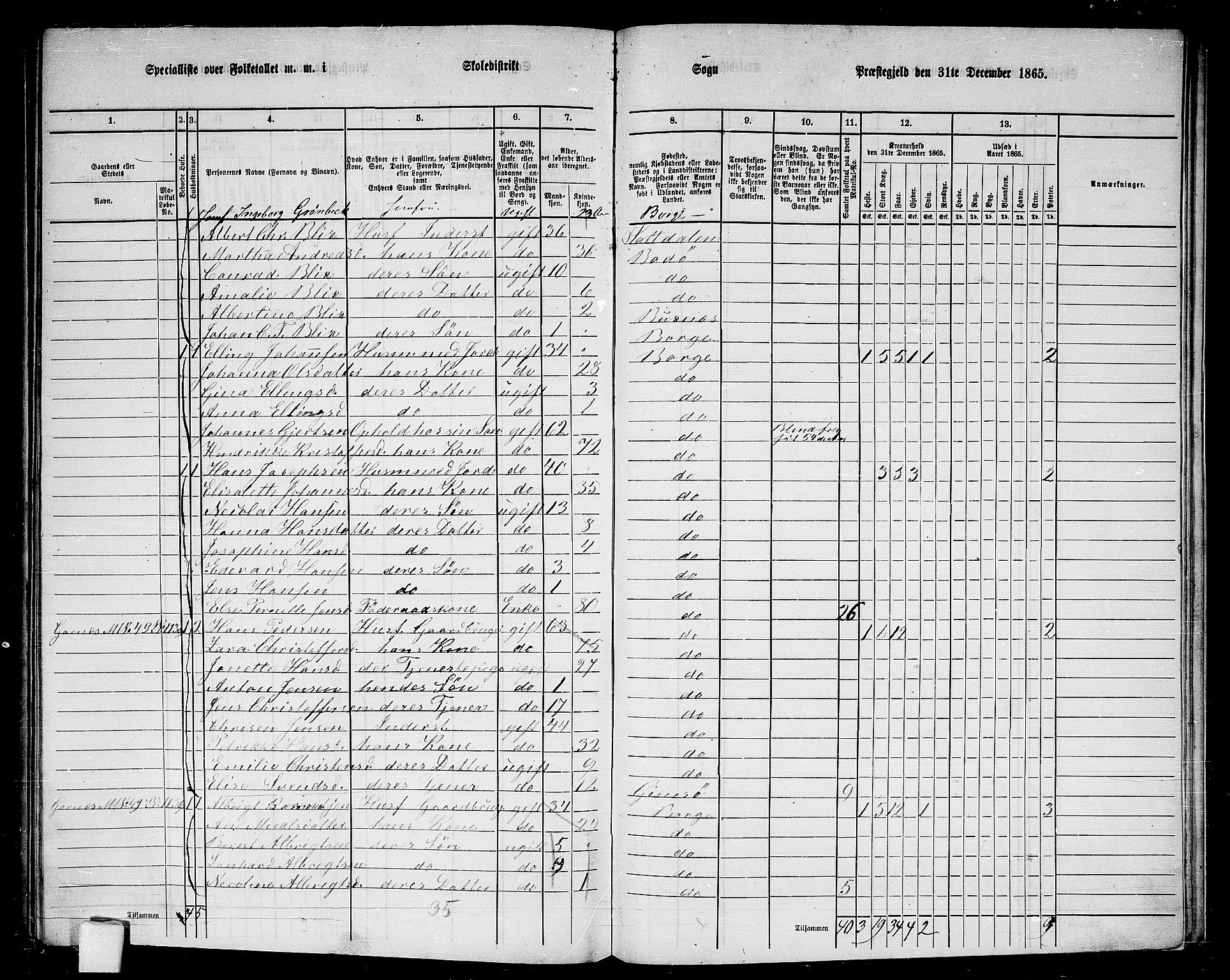 RA, 1865 census for Borge, 1865, p. 78