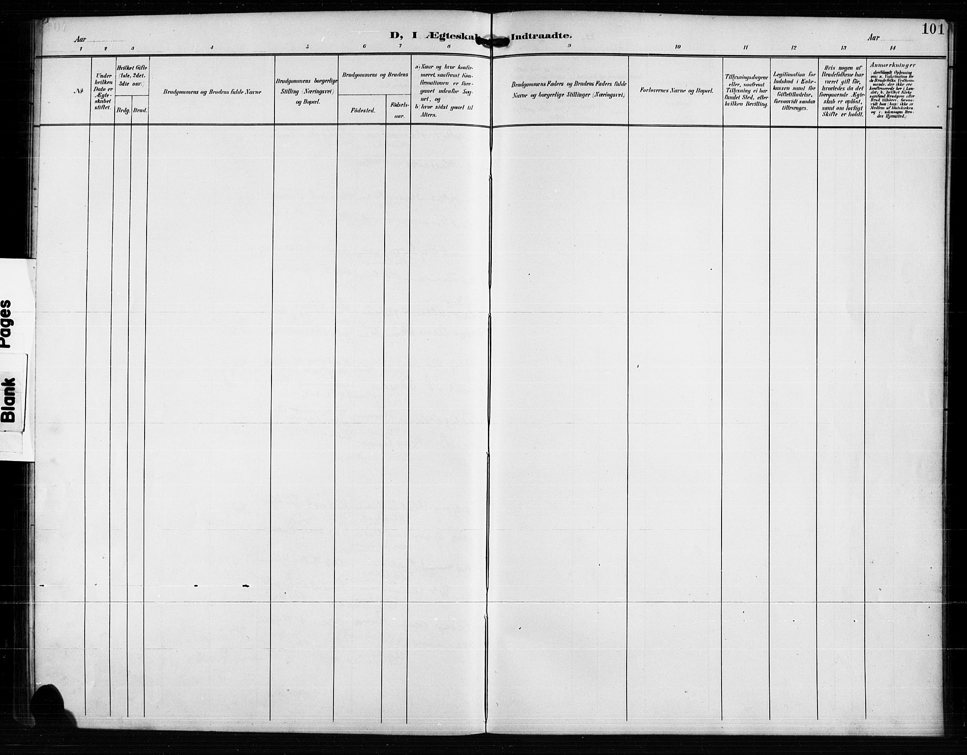 Valle sokneprestkontor, AV/SAK-1111-0044/F/Fb/Fba/L0003: Parish register (copy) no. B 3, 1895-1916, p. 101