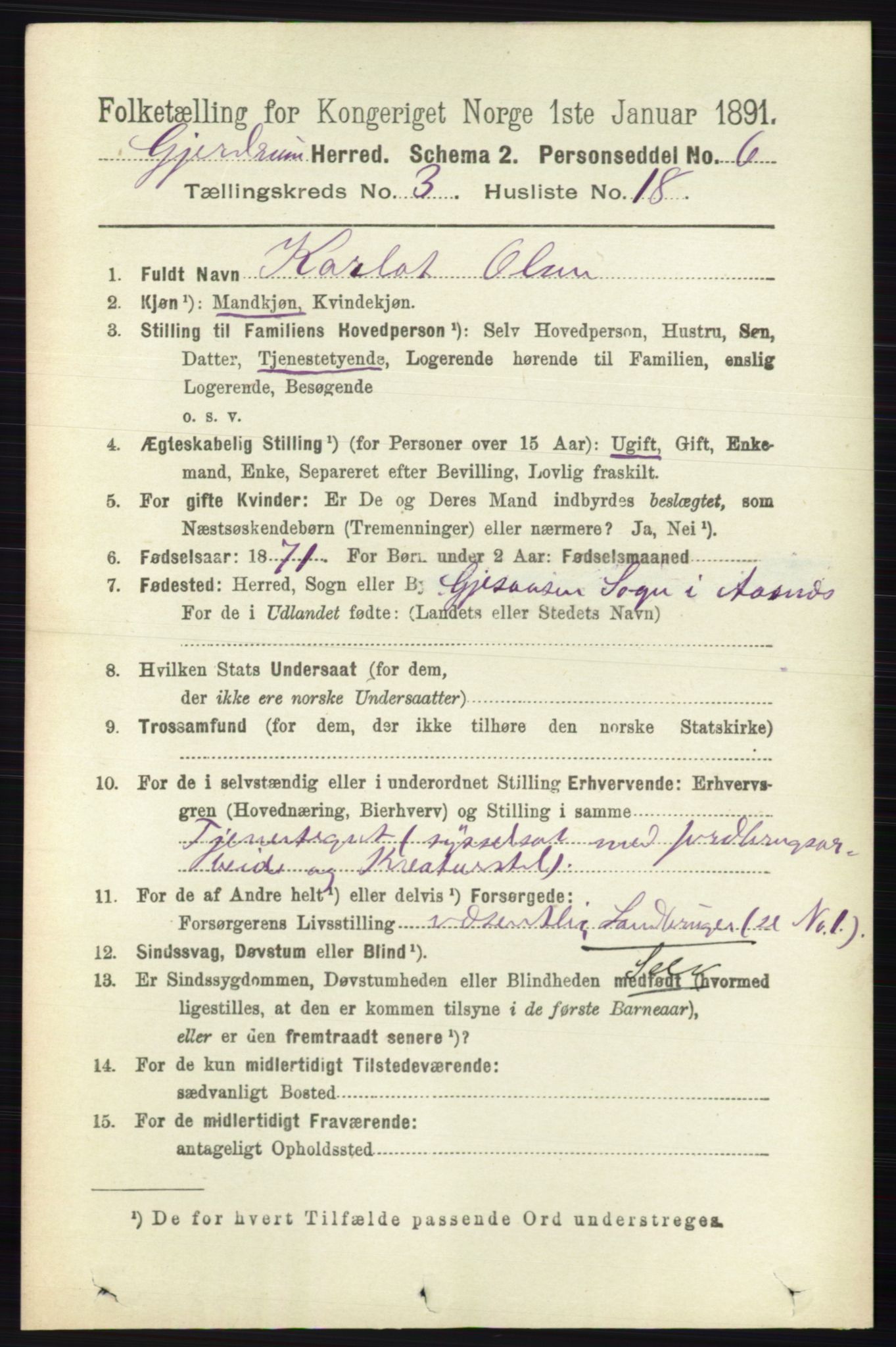 RA, 1891 census for 0234 Gjerdrum, 1891, p. 1358