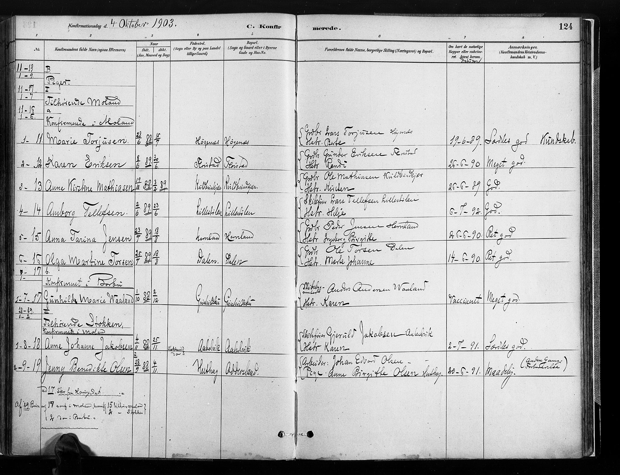 Austre Moland sokneprestkontor, AV/SAK-1111-0001/F/Fa/Faa/L0010: Parish register (official) no. A 10, 1880-1904, p. 124