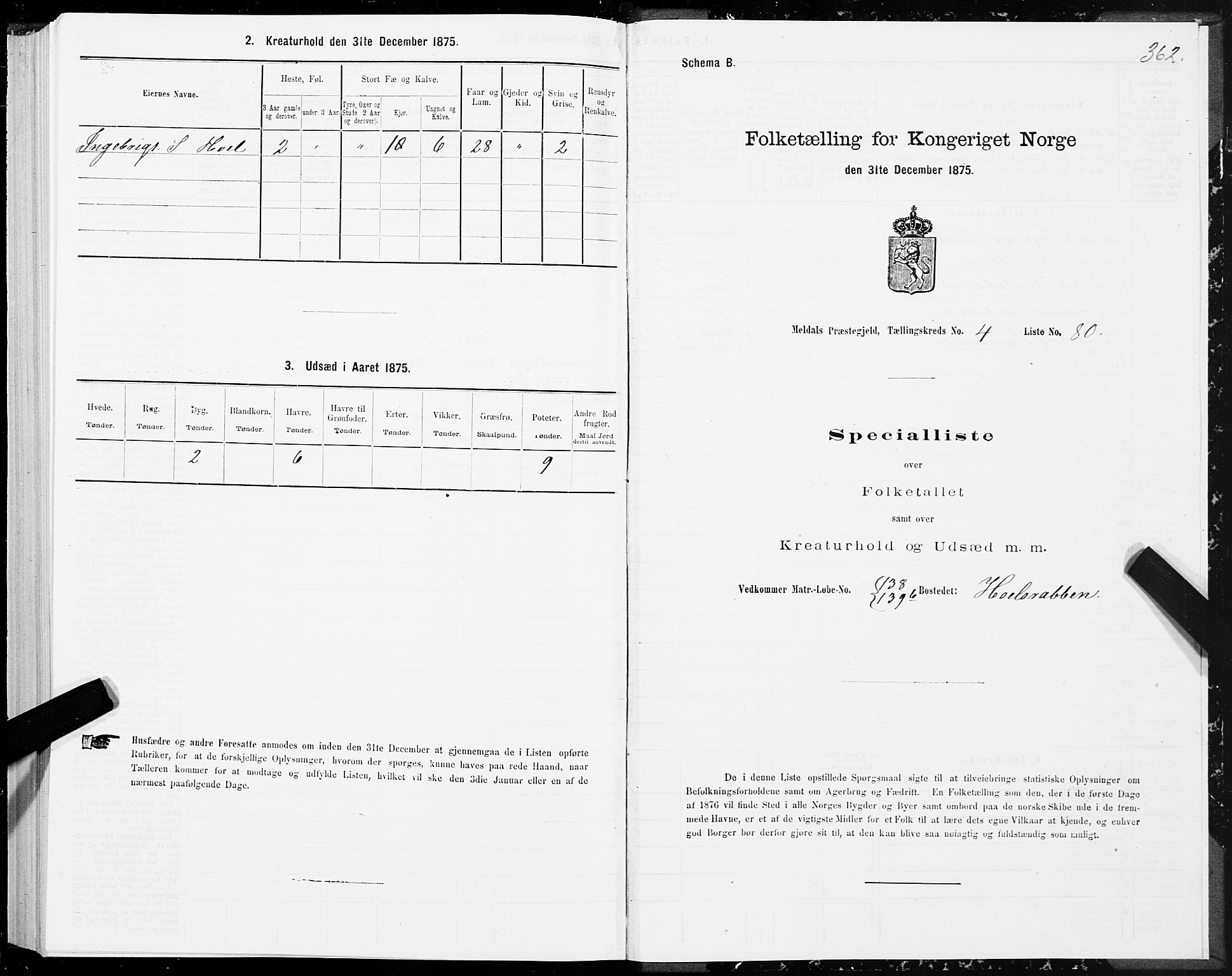 SAT, 1875 census for 1636P Meldal, 1875, p. 2362