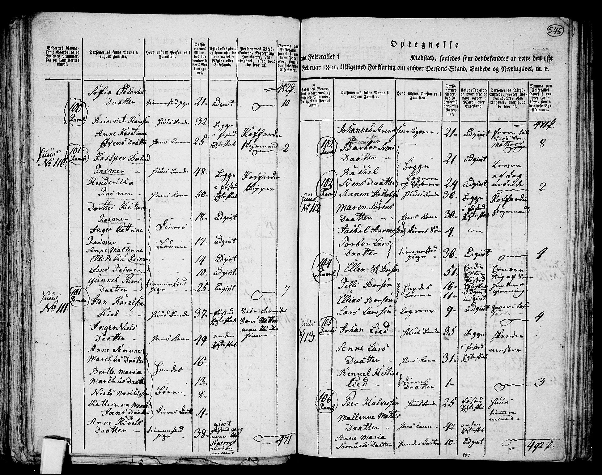 RA, 1801 census for 1001P Kristiansand, 1801, p. 544b-545a