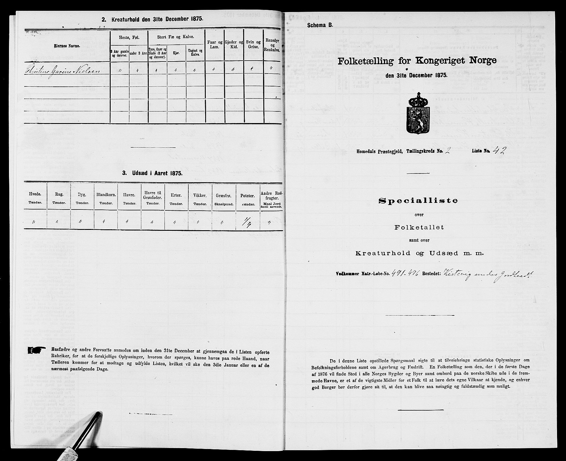 SAK, 1875 census for 0924P Homedal, 1875, p. 214